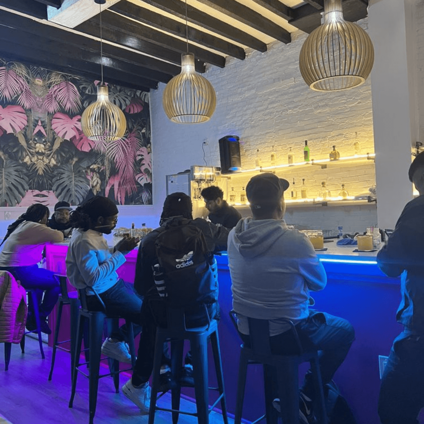 More Than Tacos — We’re Brooklyn Family