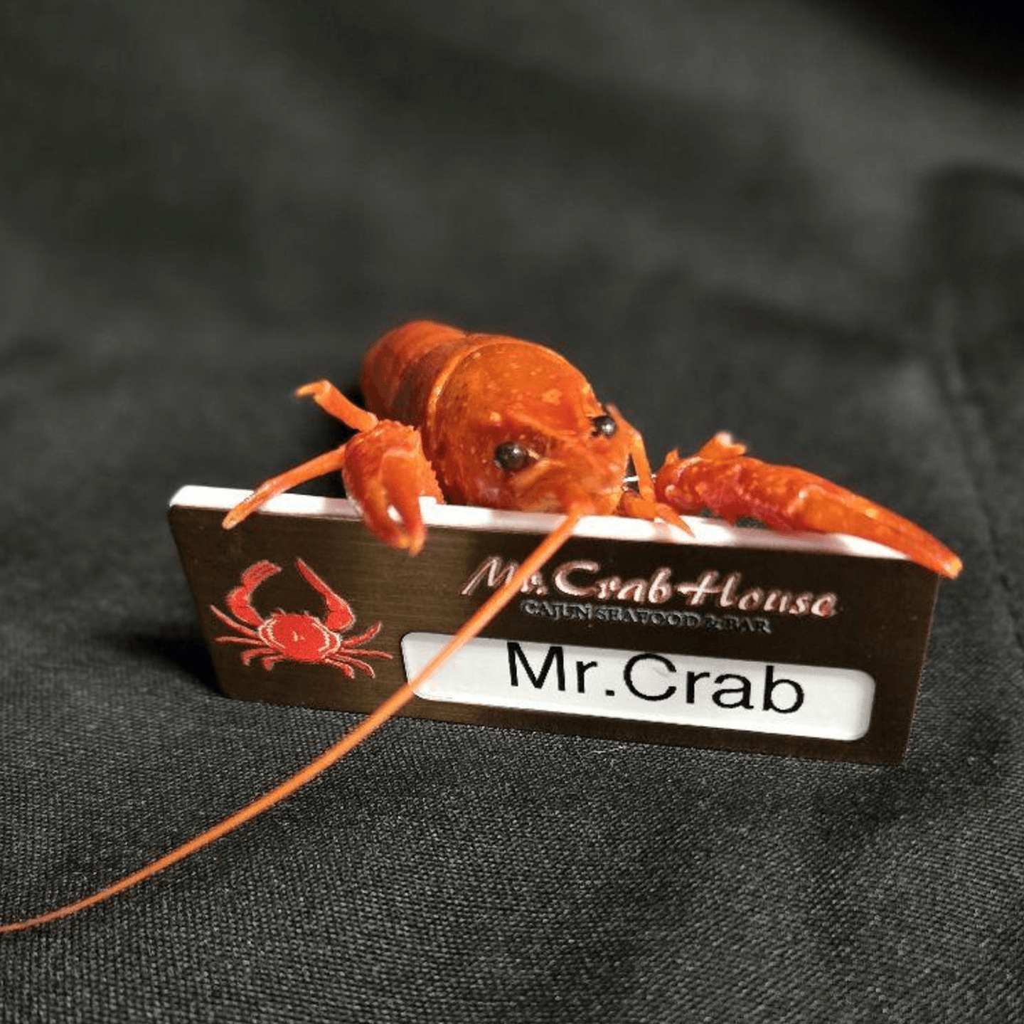 Food & Fun Together 🎉