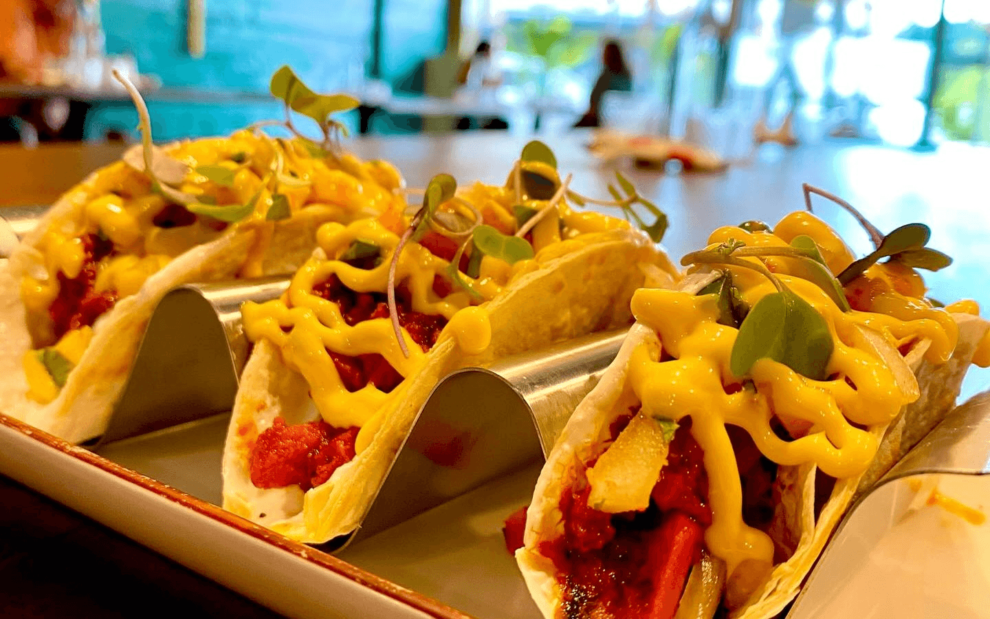 Reva Modern Indian Cuisine Rewards