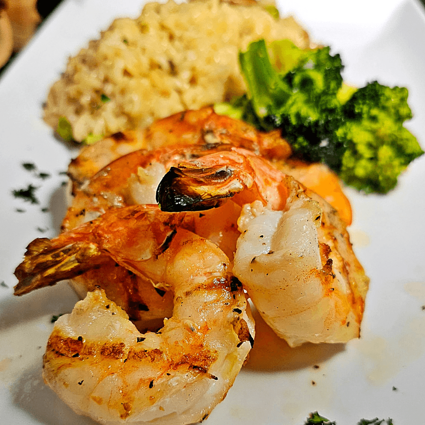 Wild Jumbo Shrimp 29
