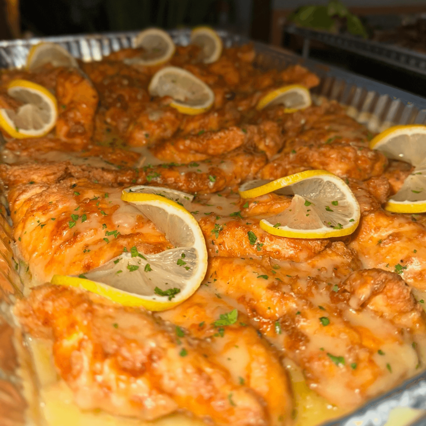 Elevate Your Event With Spycoast Catering