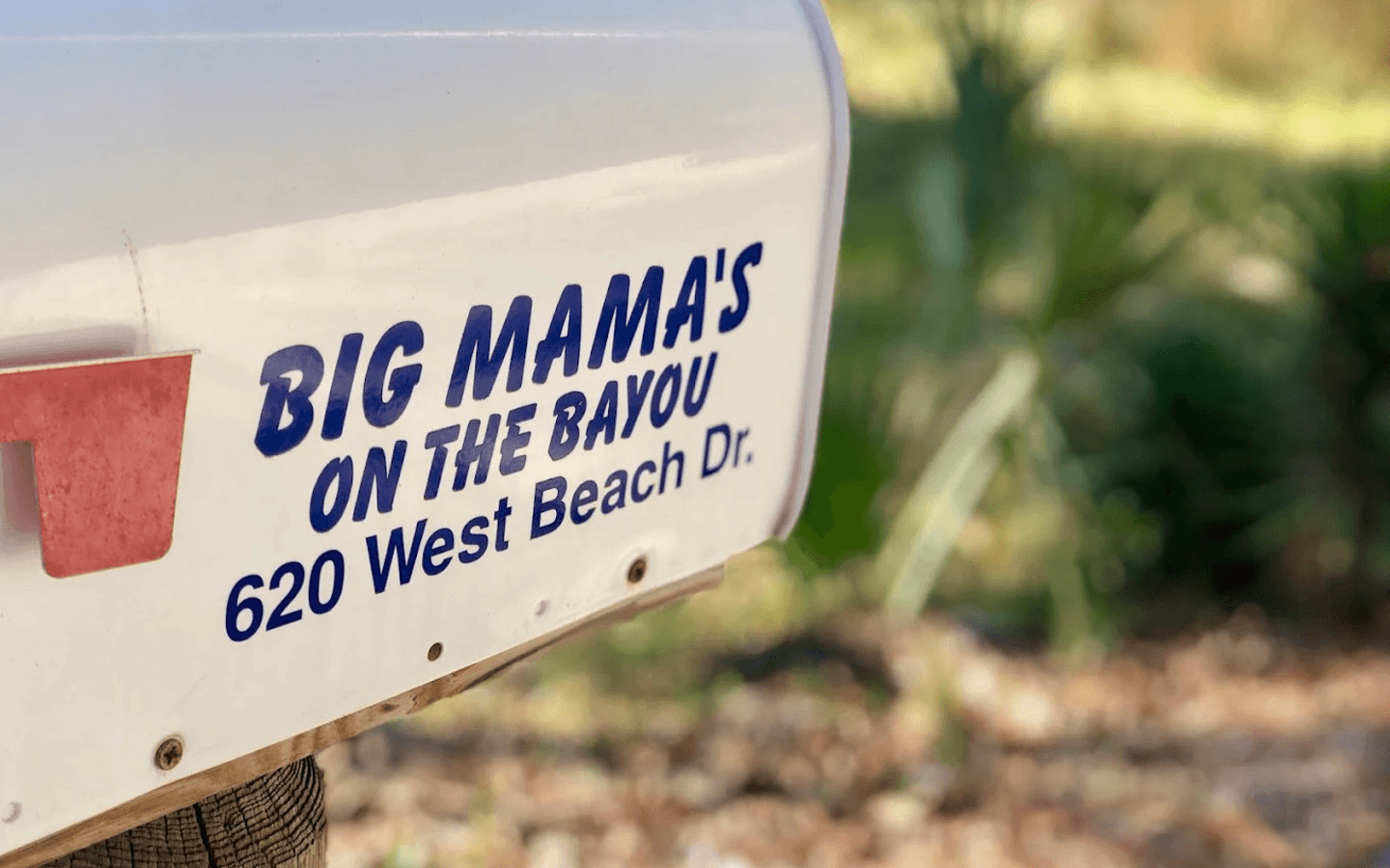From the Bayou to Your Plate