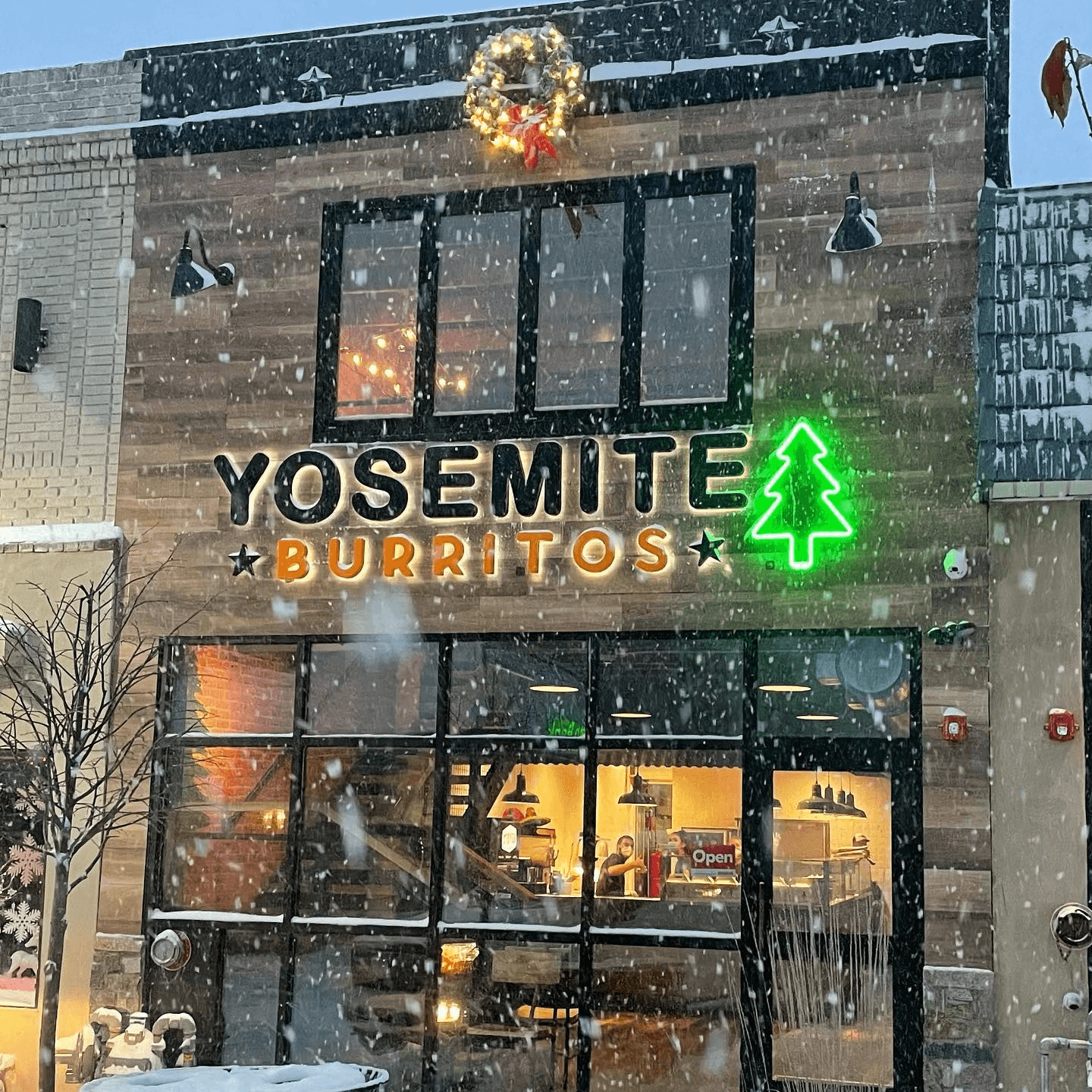 Rooted in Springfield