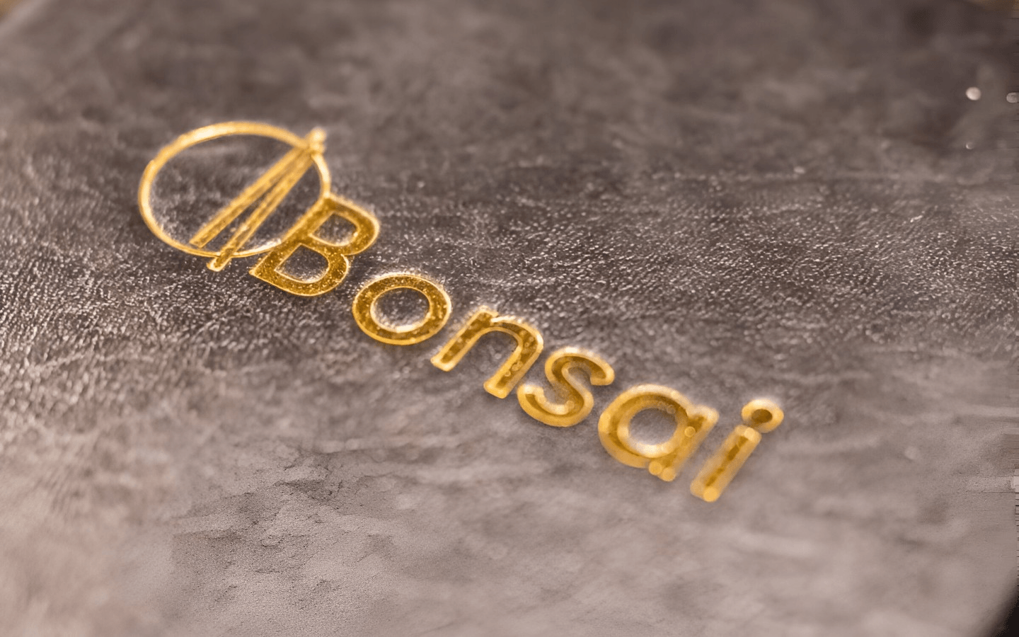 A Culinary Journey Rooted in Tradition