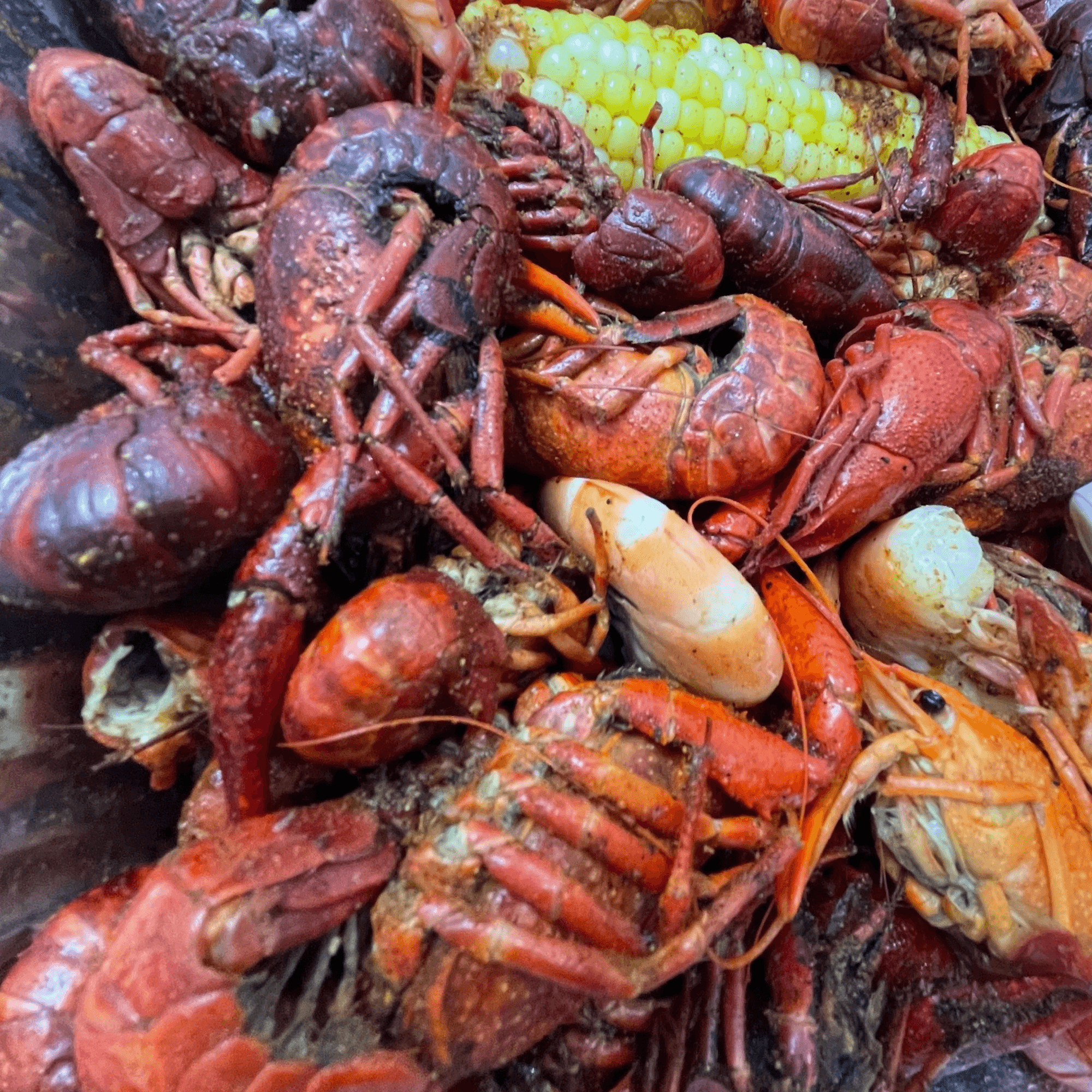 Lobster Haven gallery image #1