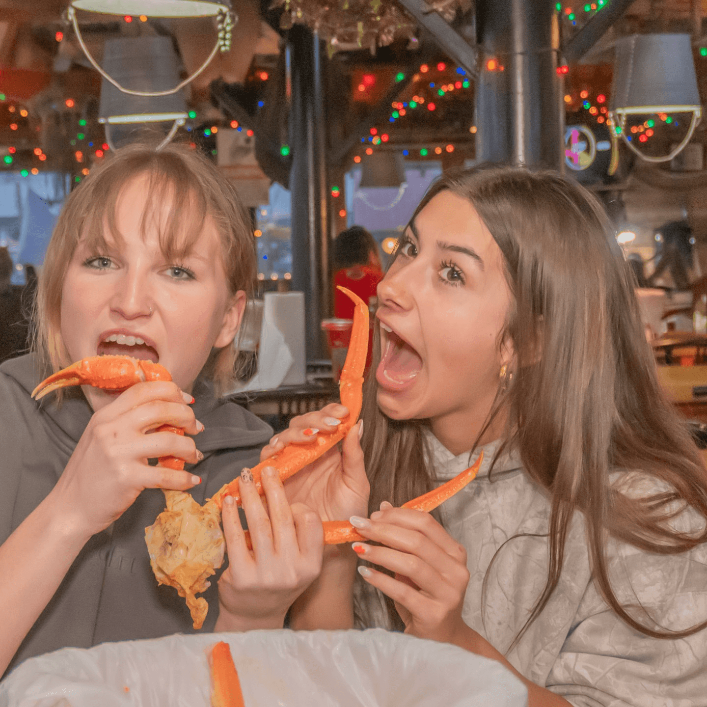 Welcome to Crazy Alan’s Swamp Shack