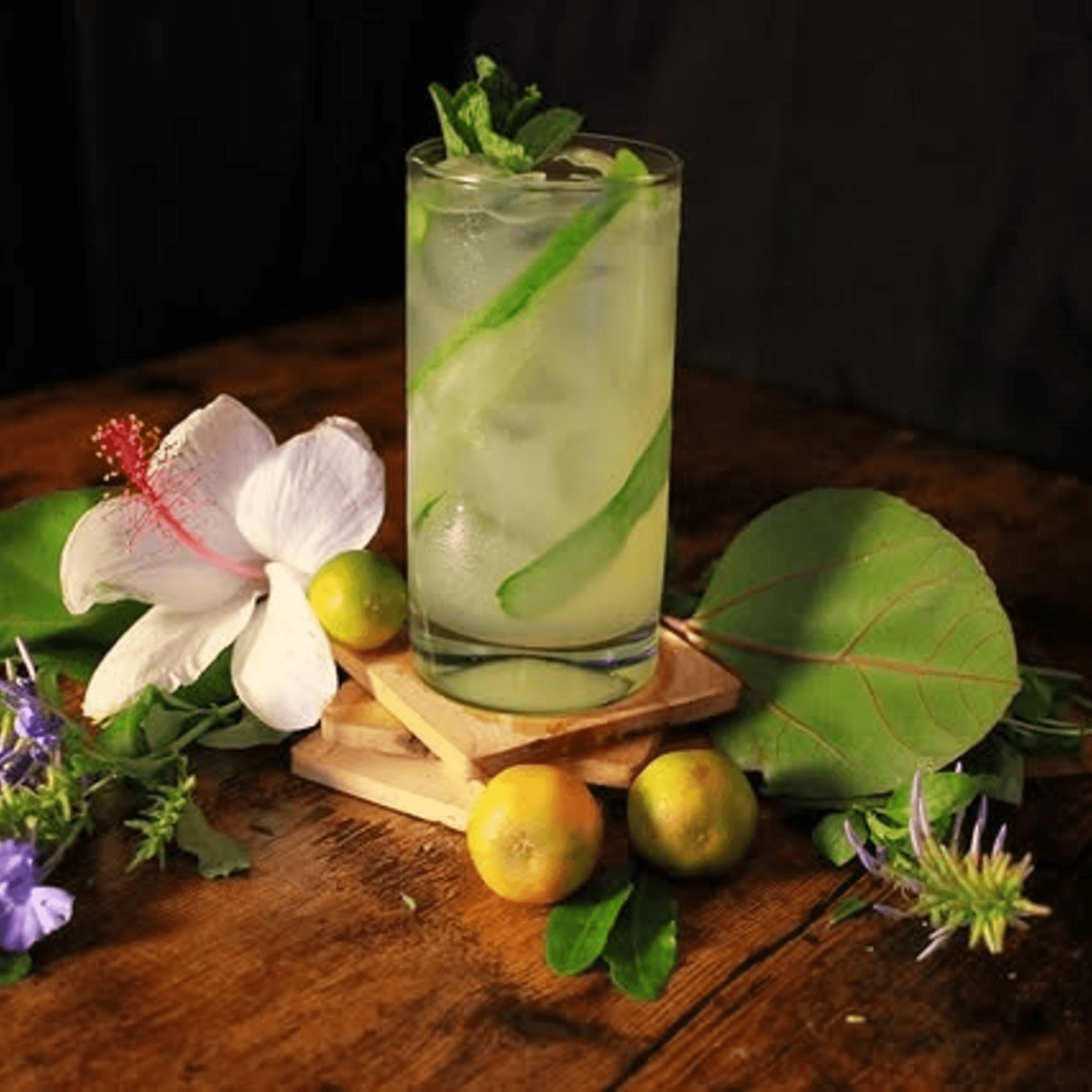 Miyo's Restaurant gallery image #5