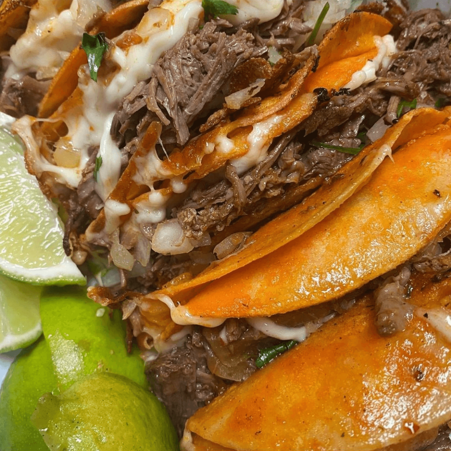 Wagyu Lengua Tacos and More!