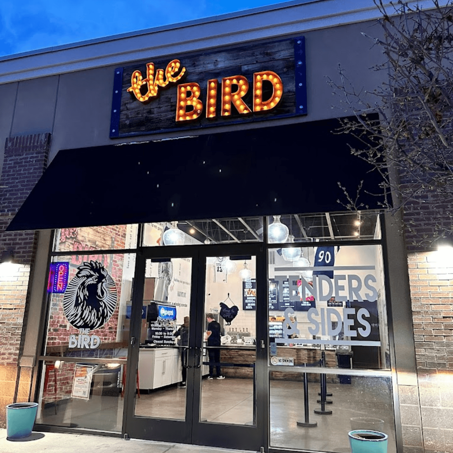 Welcome to The Bird