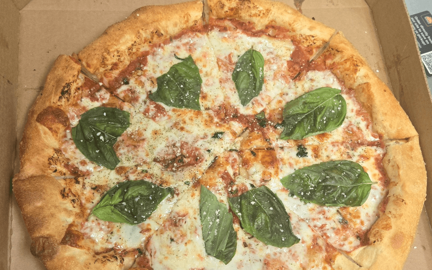 Sign Up & Start Earning Rewards!