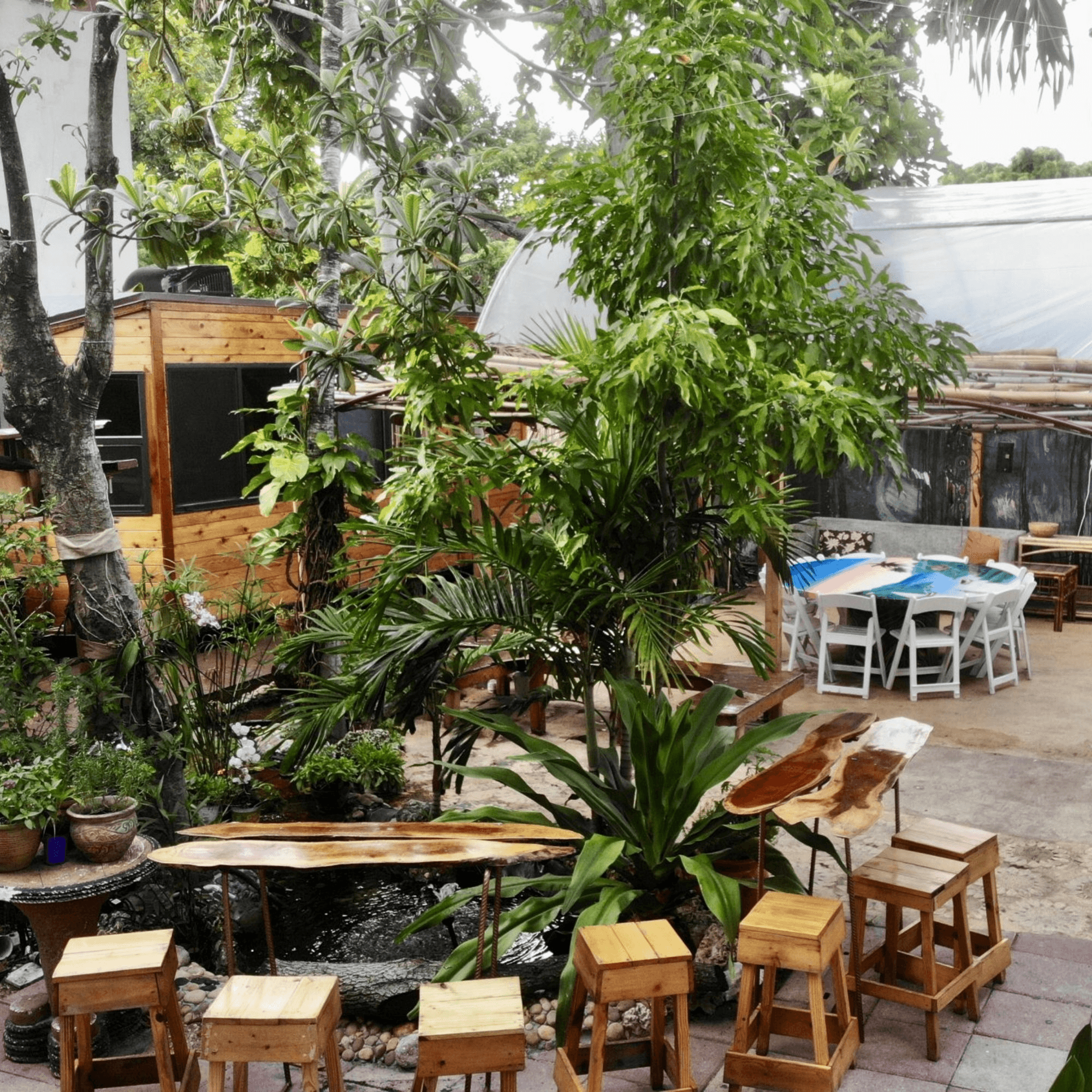 Naomi's Garden Restaurant & Lounge gallery image #2