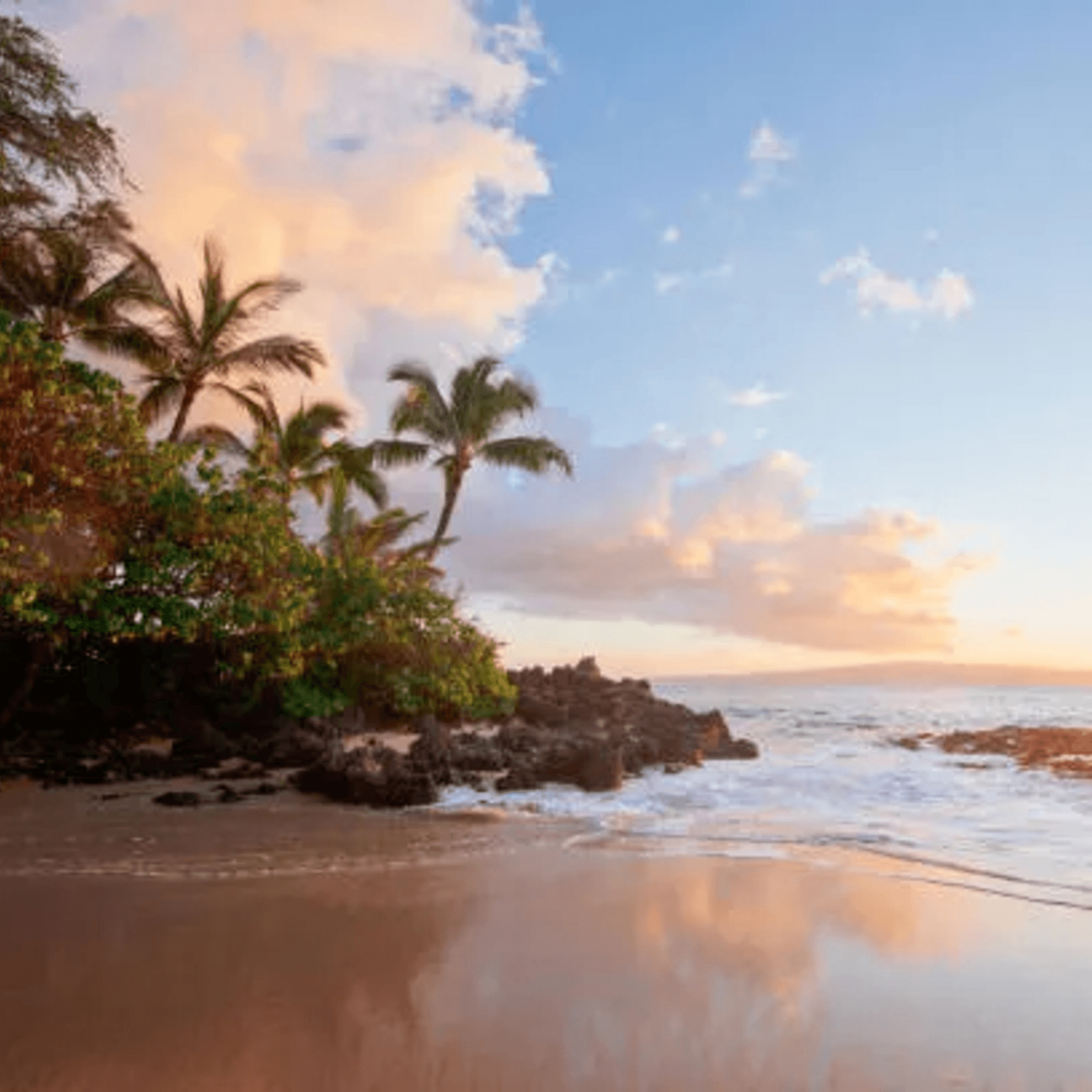 Sushi Kabuki gallery image #3