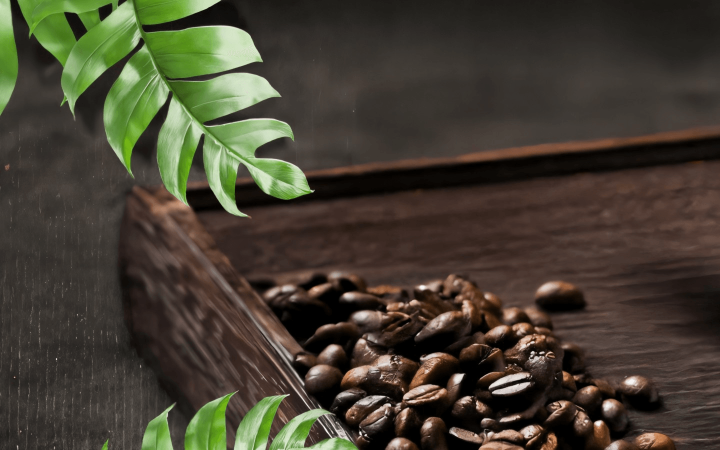 Your Favorite Drinks, Just a Click Away!