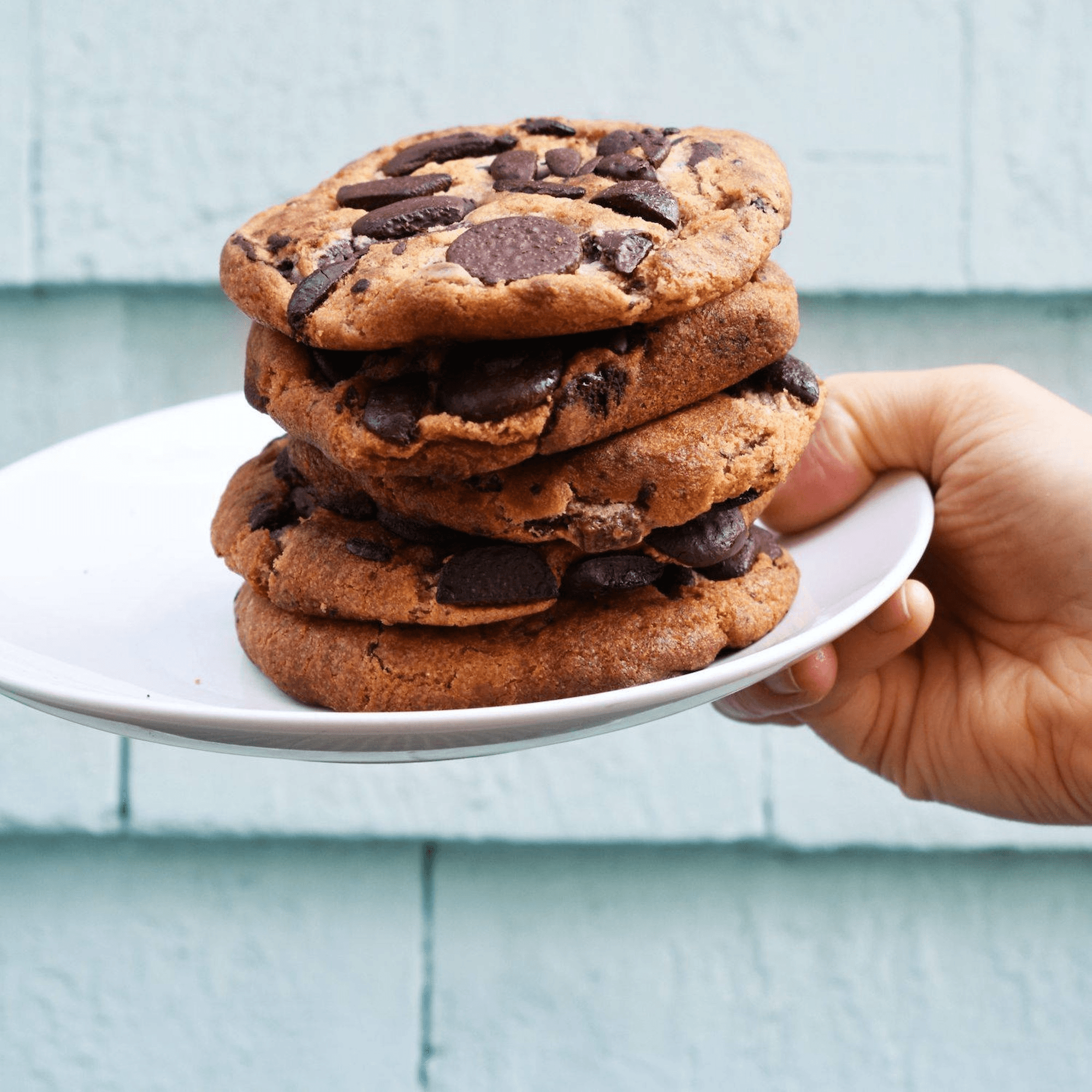 Oath Pizza Wellesley gallery image #6