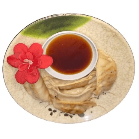 Gyoza (5).