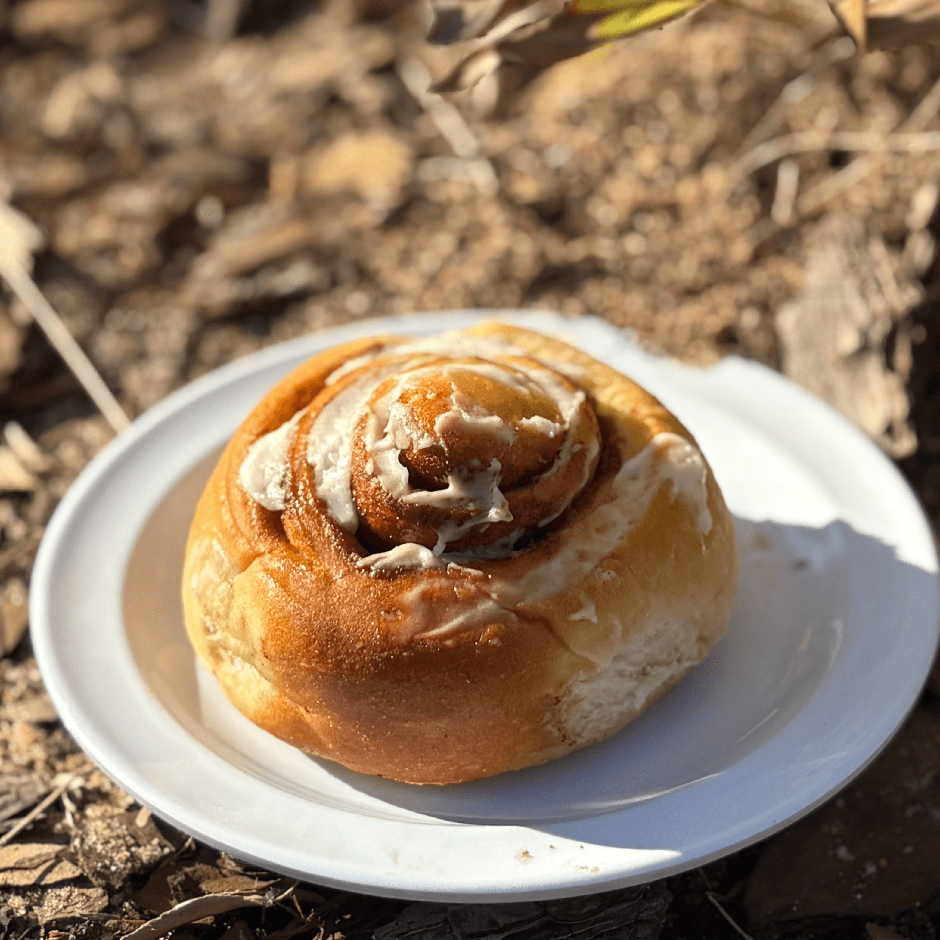 Cinnamon Roll.