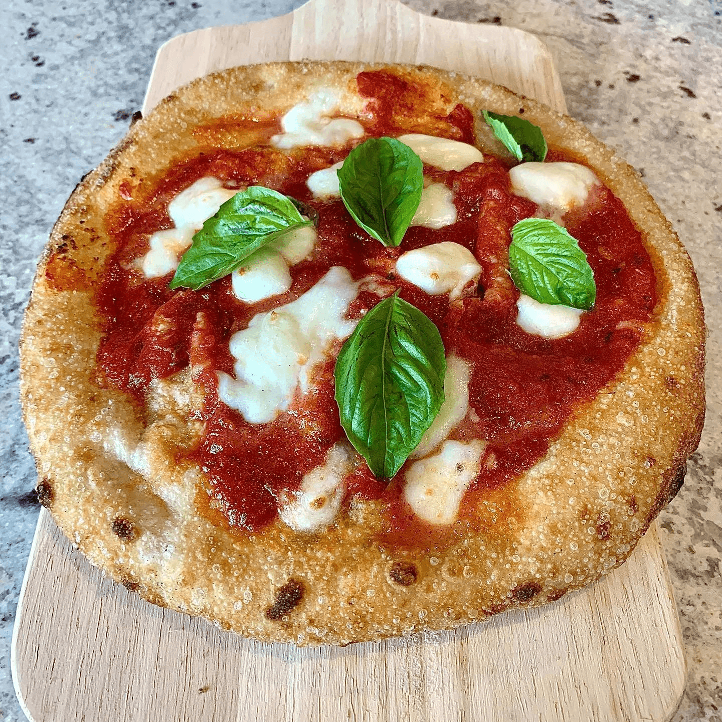 Classics You’ll Love