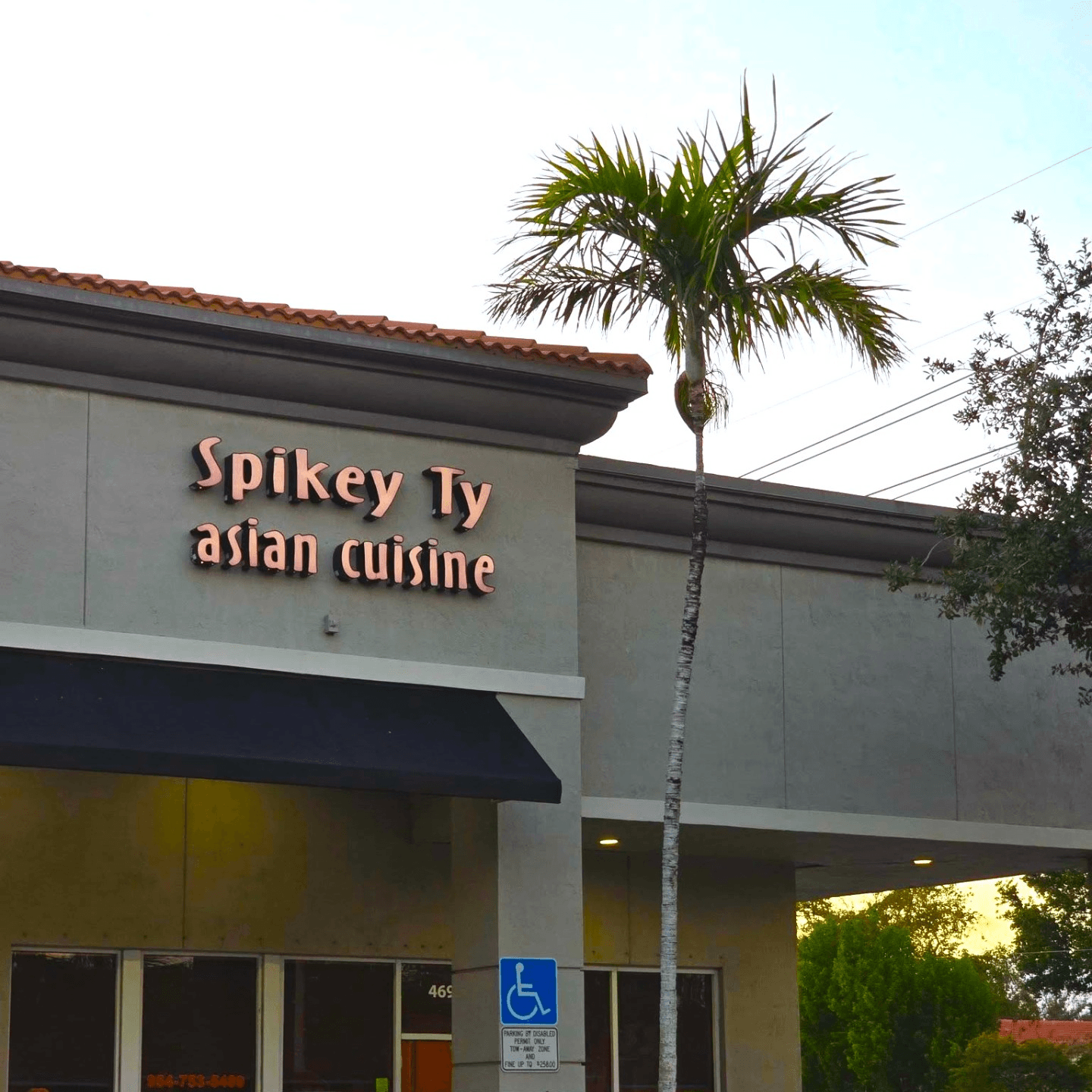 Rooted in Experience, Grown with Passion