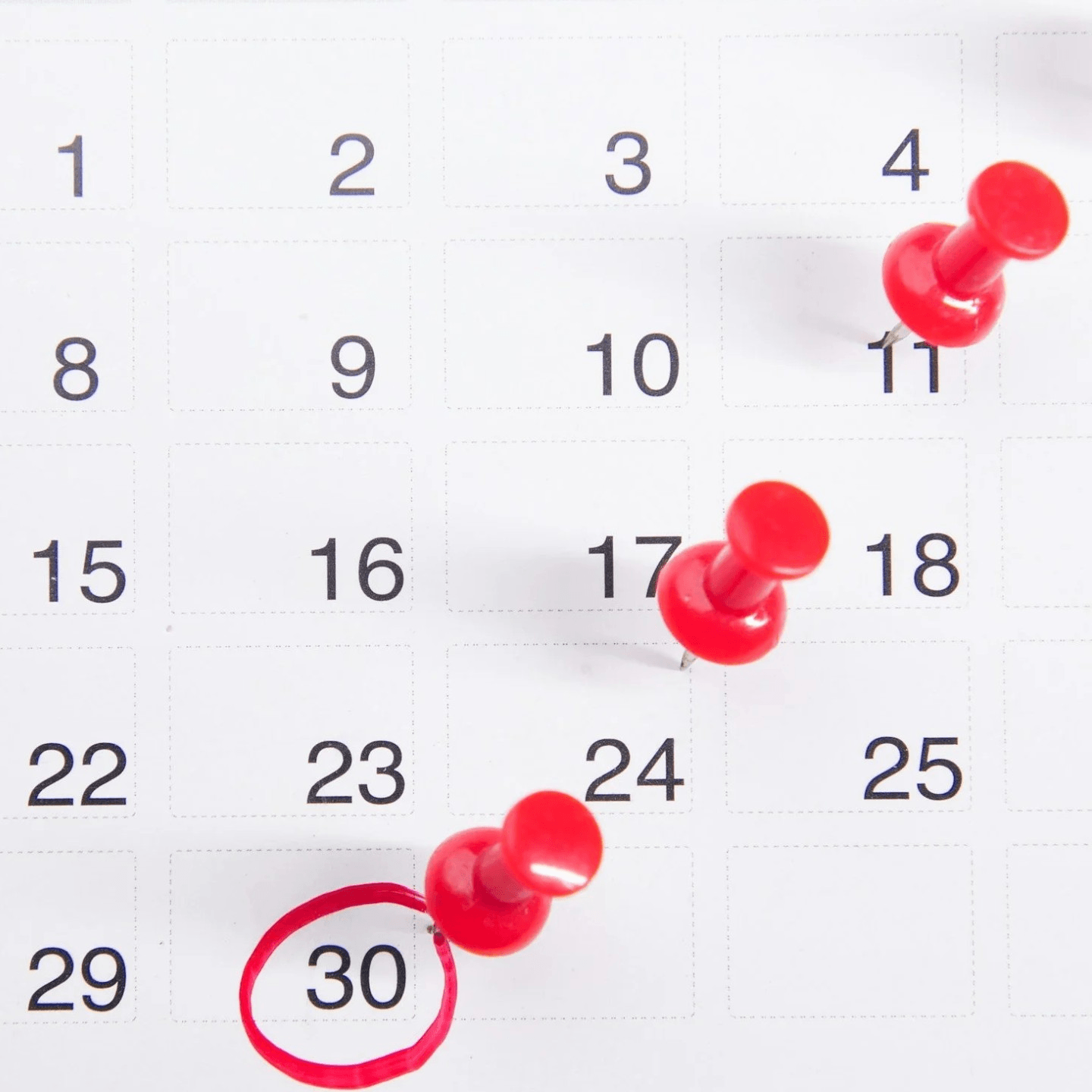 Pick Your Date & Falcones Location