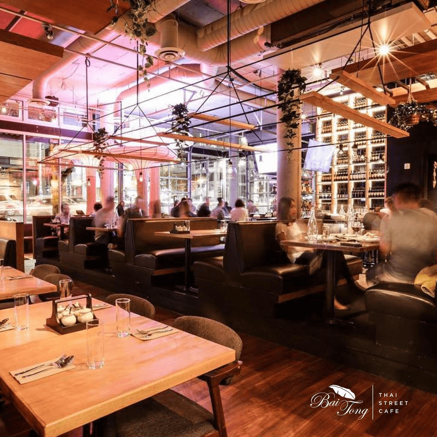 Bai Tong Thai Street Cafe Best thai food in Seattle