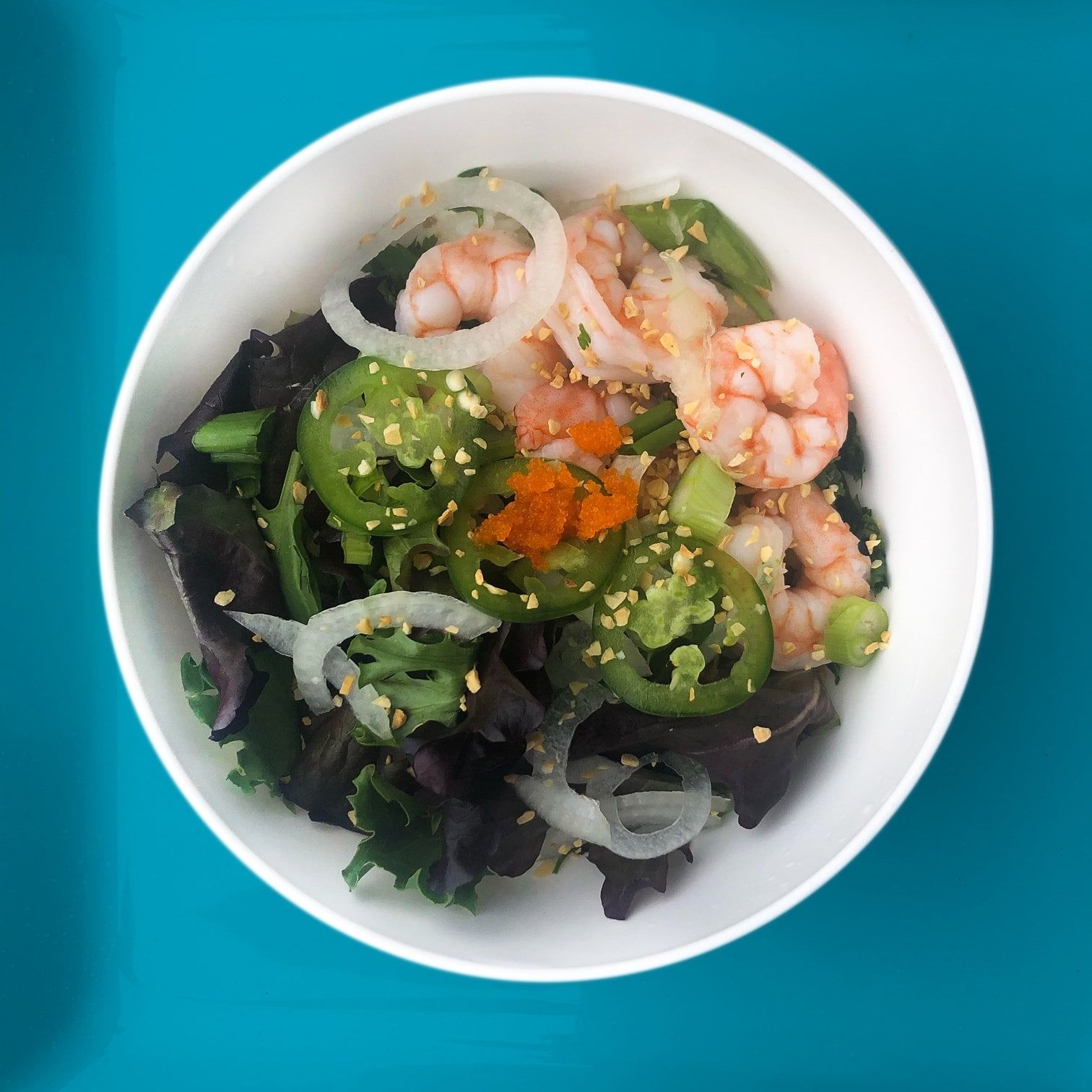 Blackpoint - Shrimp.