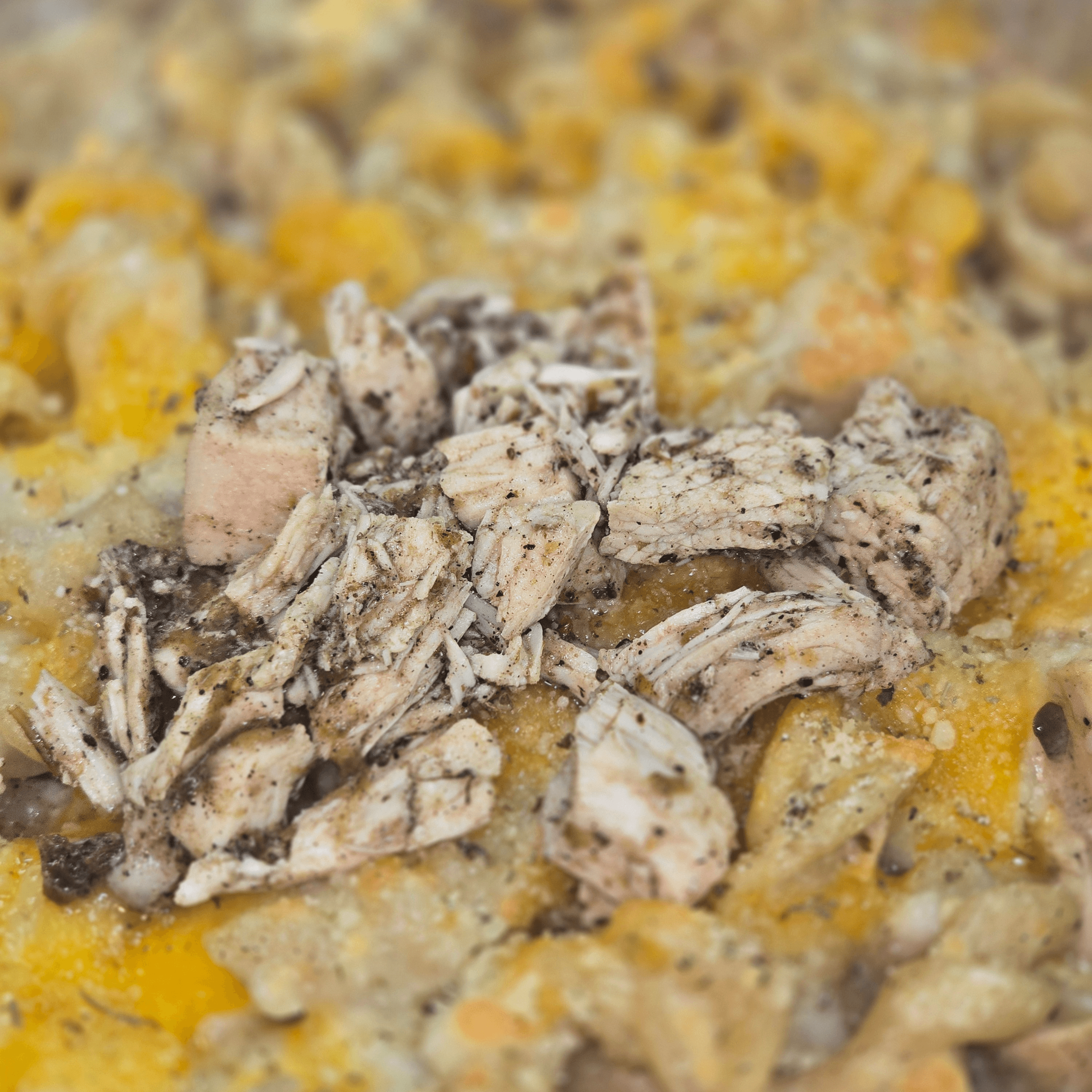 Jerk Chicken mac and cheese (Spicy).