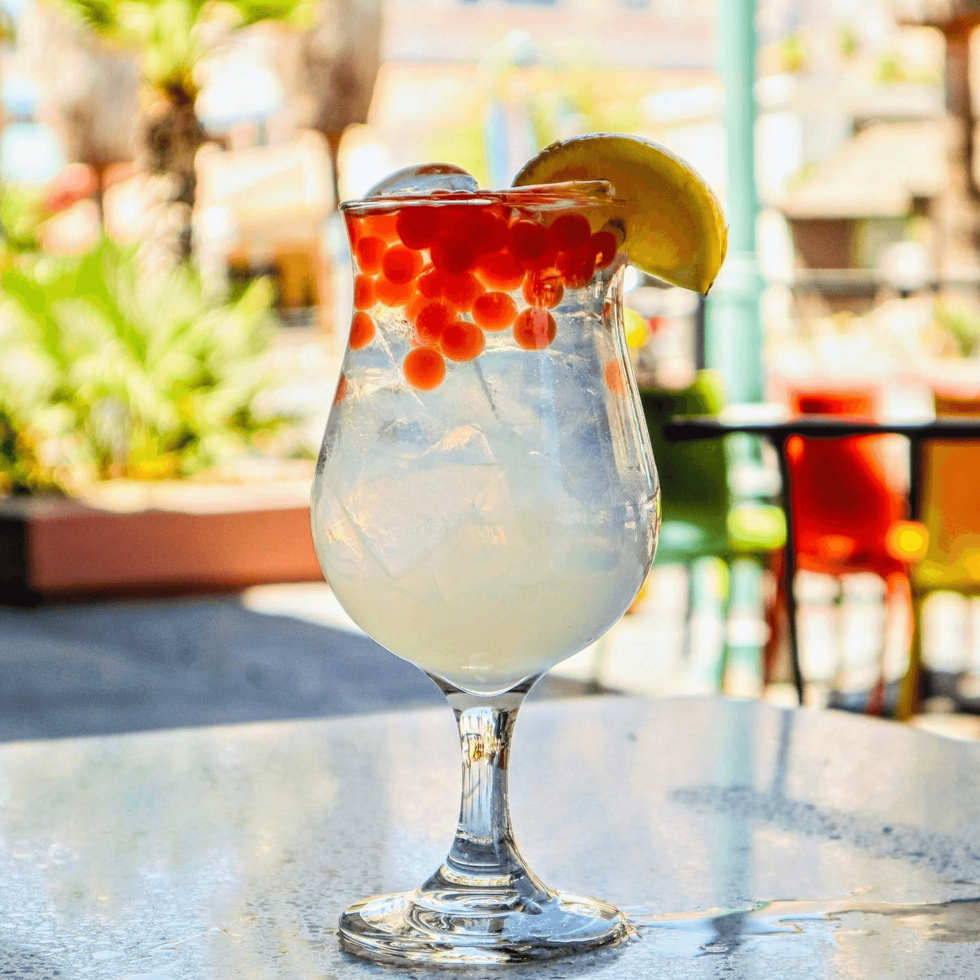 Lulu California Bistro gallery image #12