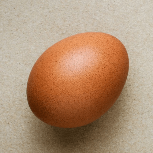 Side - (1) Egg.