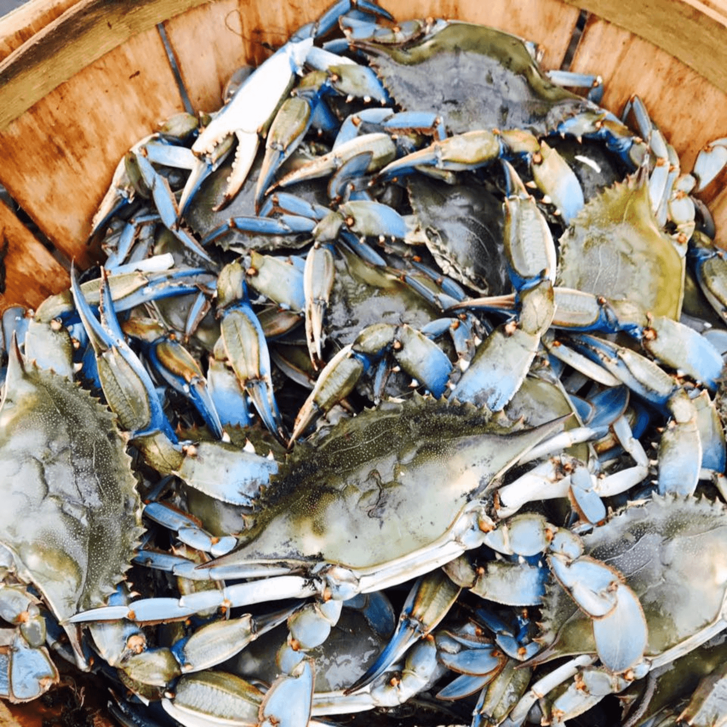 Crack Into Maryland’s Freshest Blue Crabs