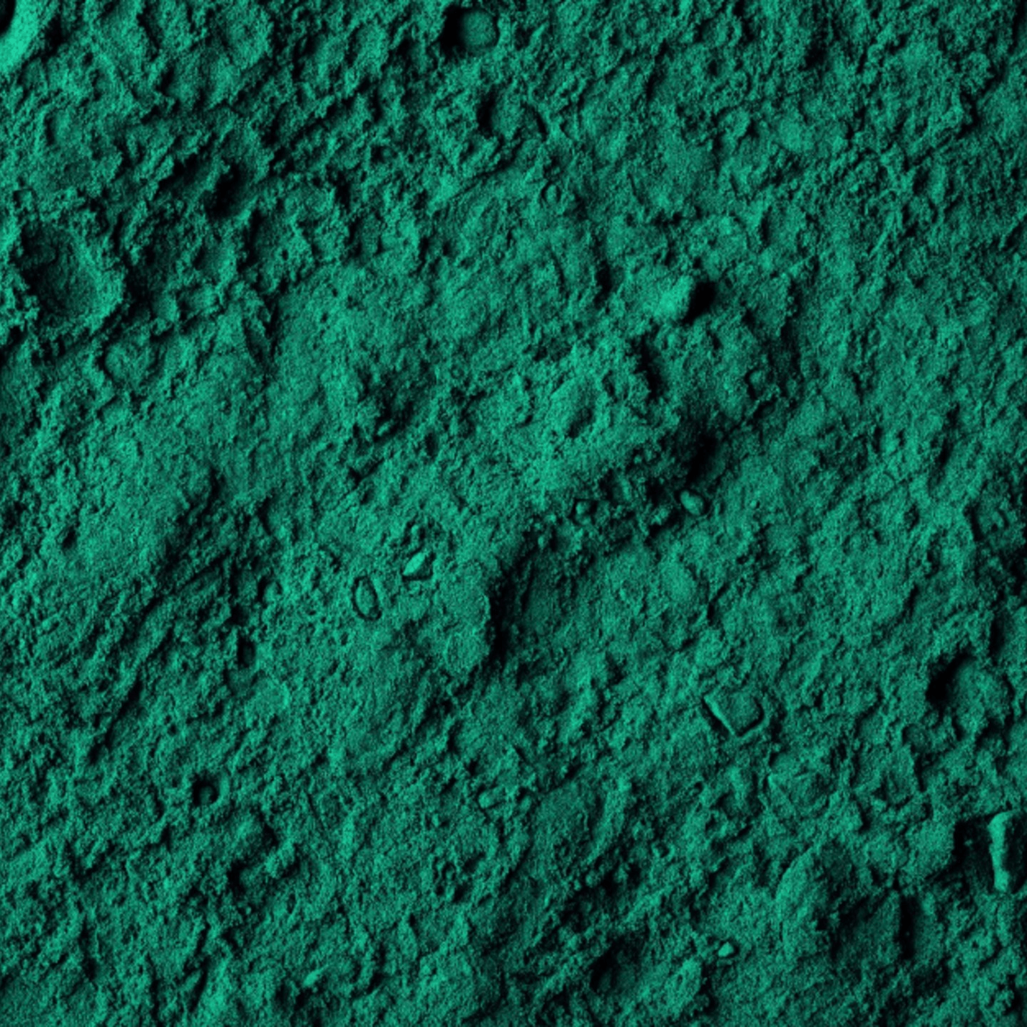 Spirulina
