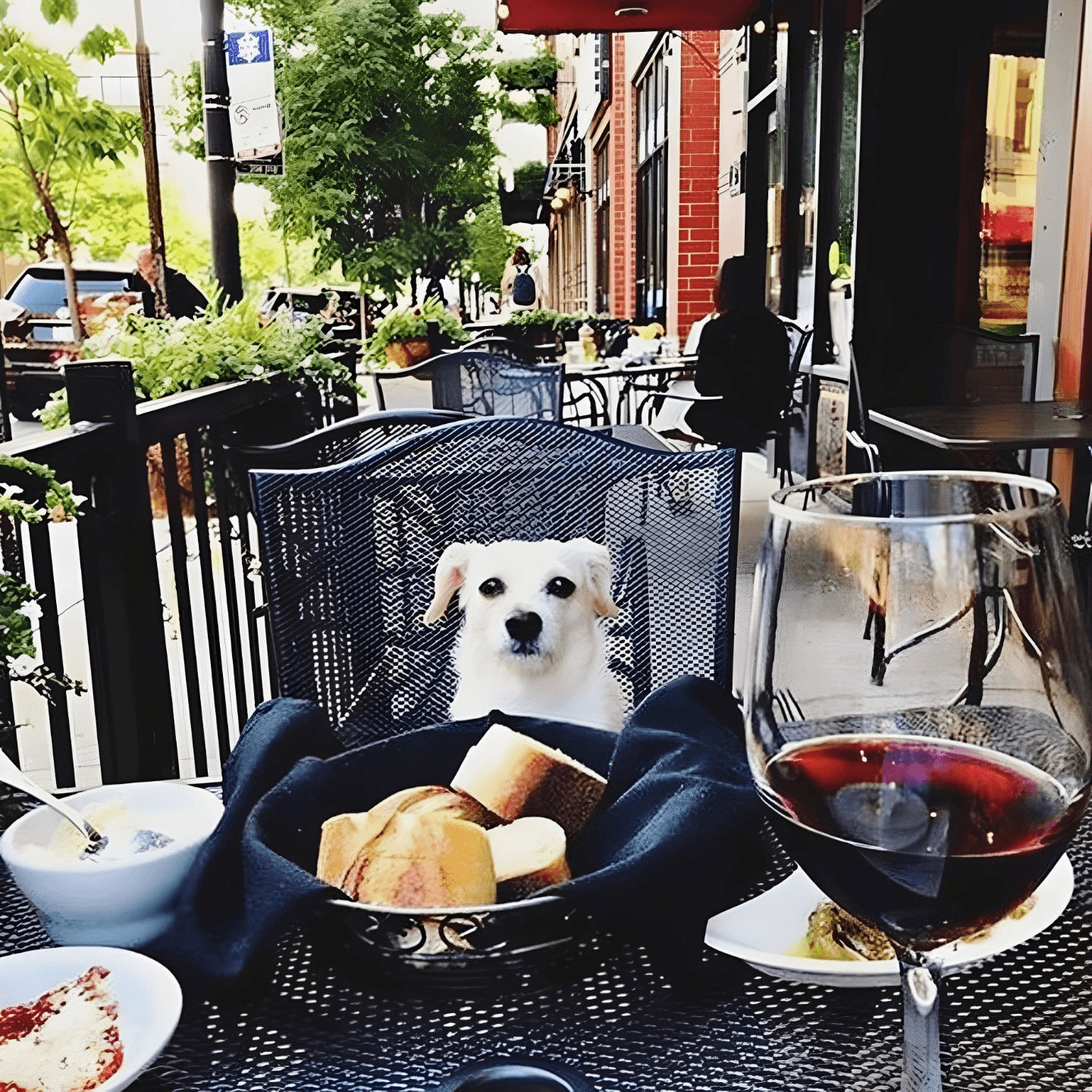 Family-Friendly & Pet-Friendly Vibes 🐾