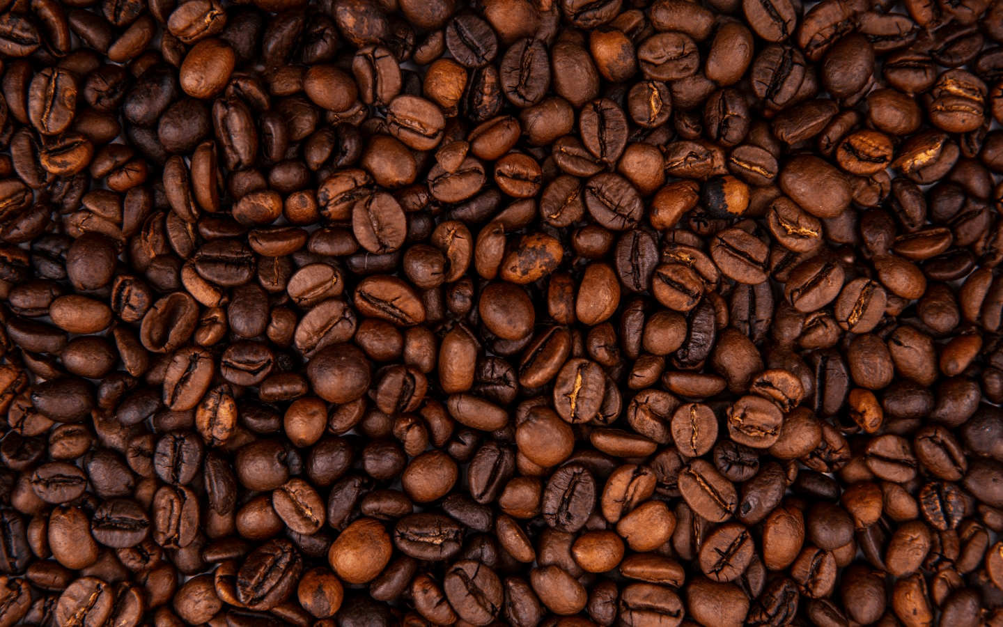 Welcome to Bringleton’s Coffee House