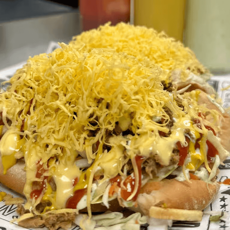 Hot Dog Venezuela Style Regular.