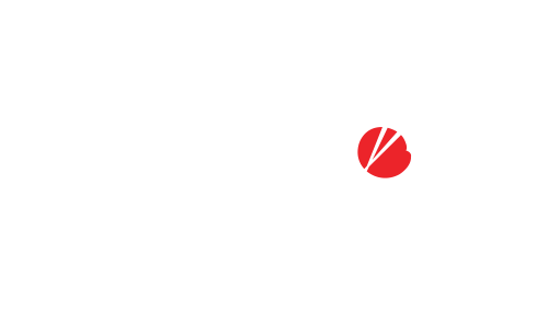 Shrimp Garlic Fried Rice.