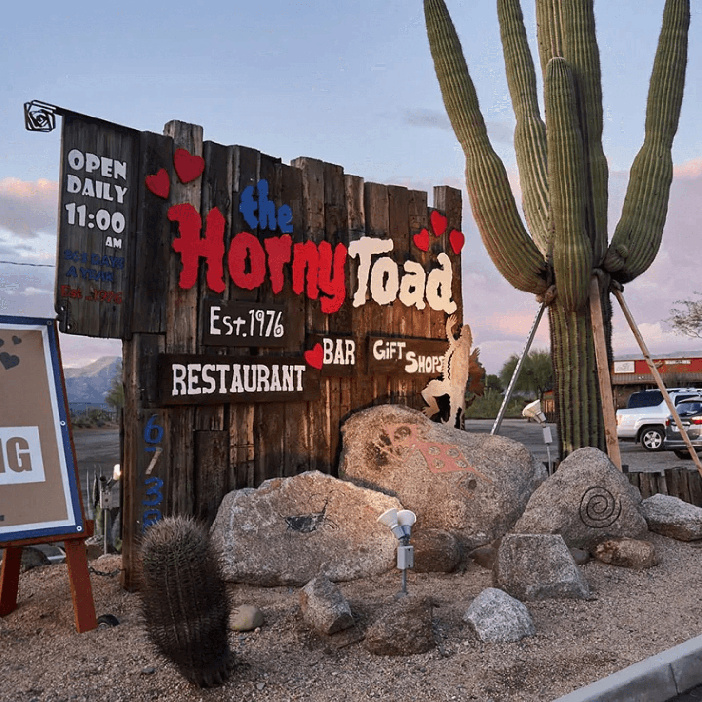 What’s A Horny Toad