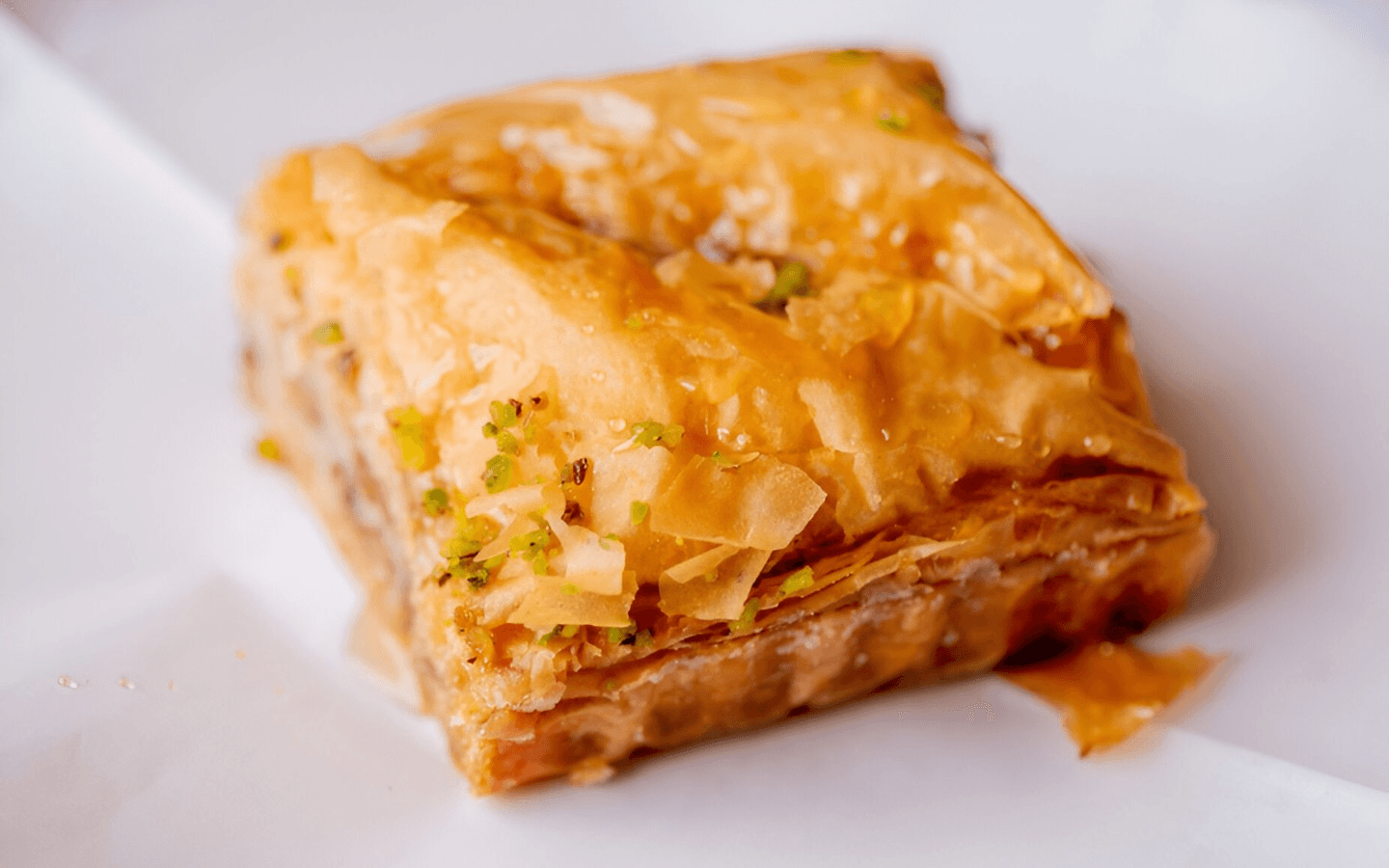 Nicolini House of Pizza Rewards