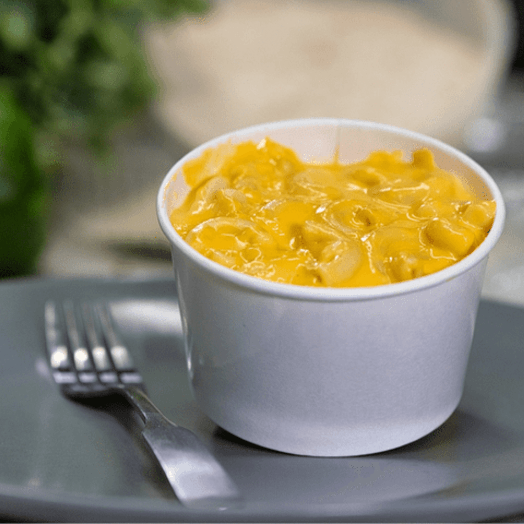 Slice Pizza & Krunchy Chicken gallery image #10