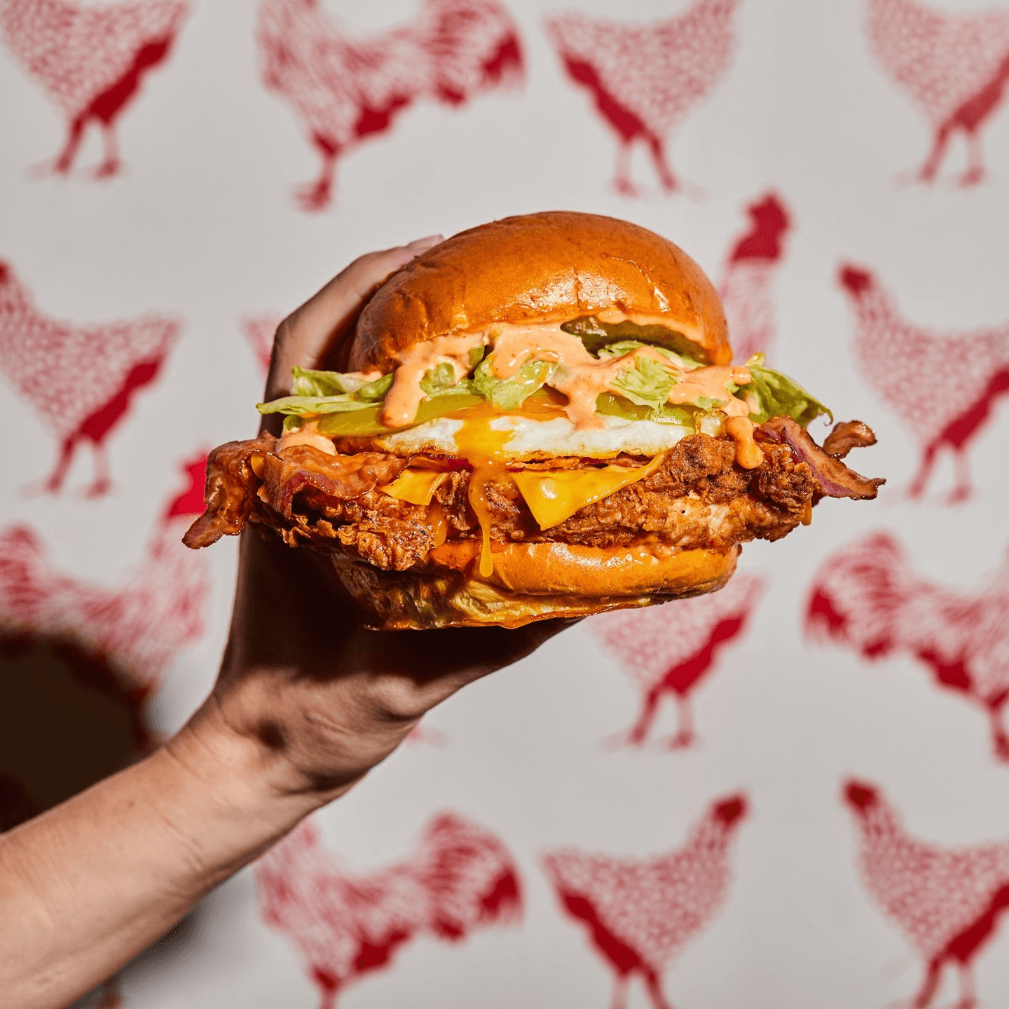 What Can Bird Do For You?