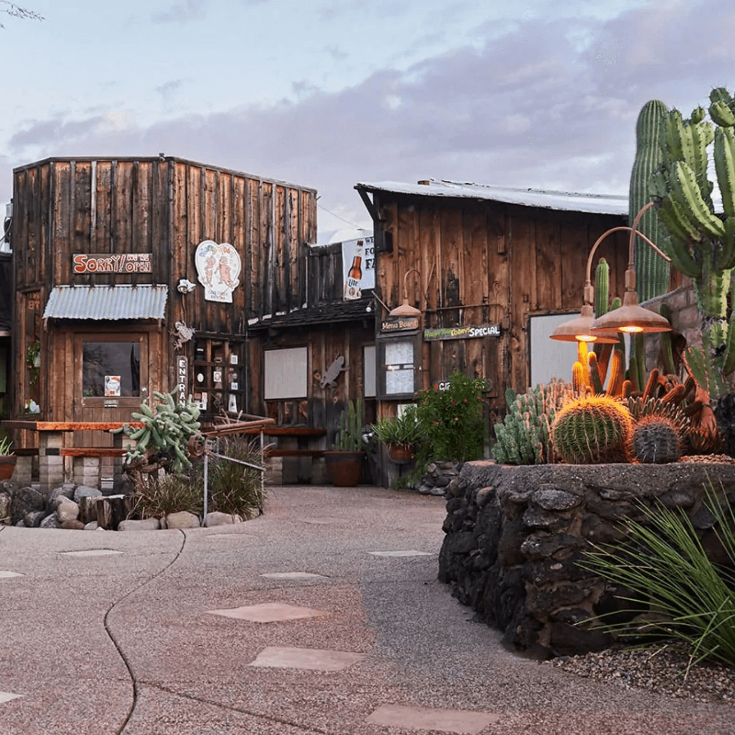 The Truly Forgettable Saga of the Horny Toad