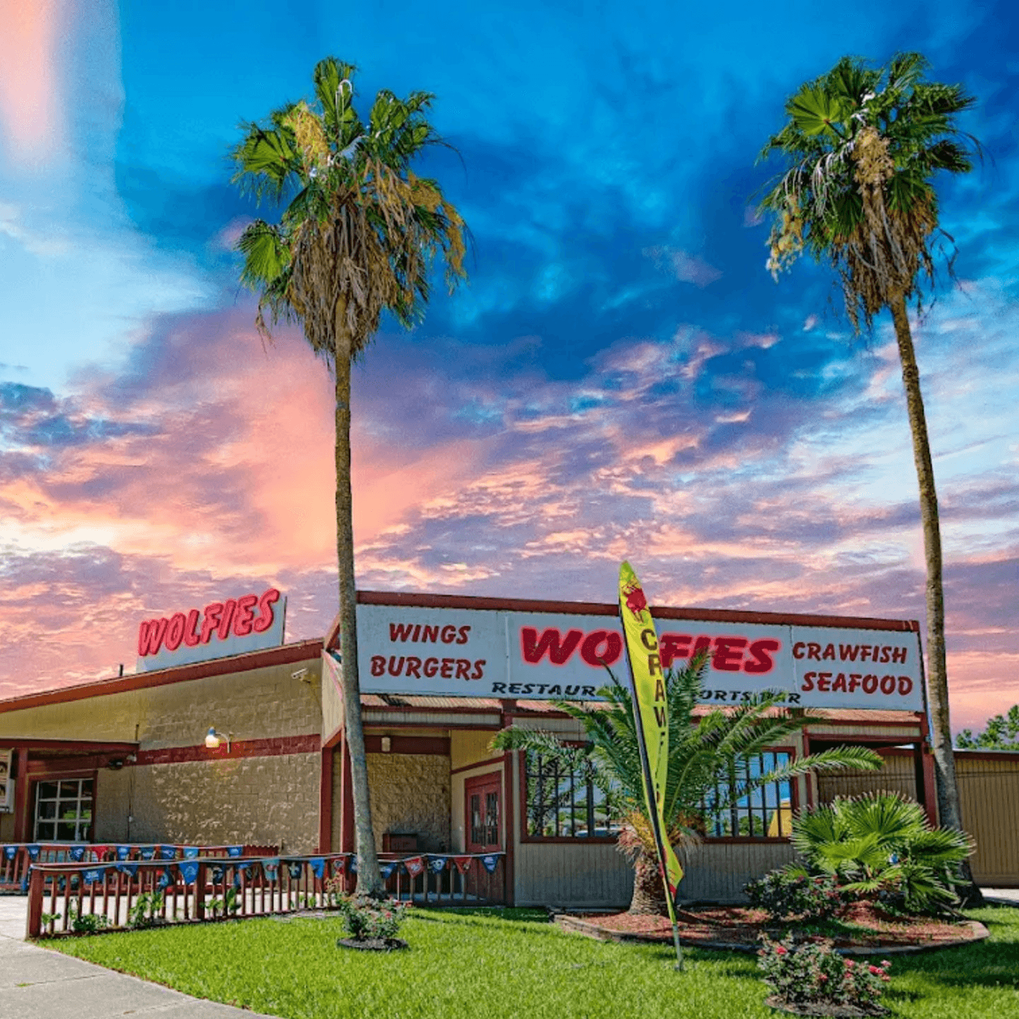 The Wolfies Story Begins