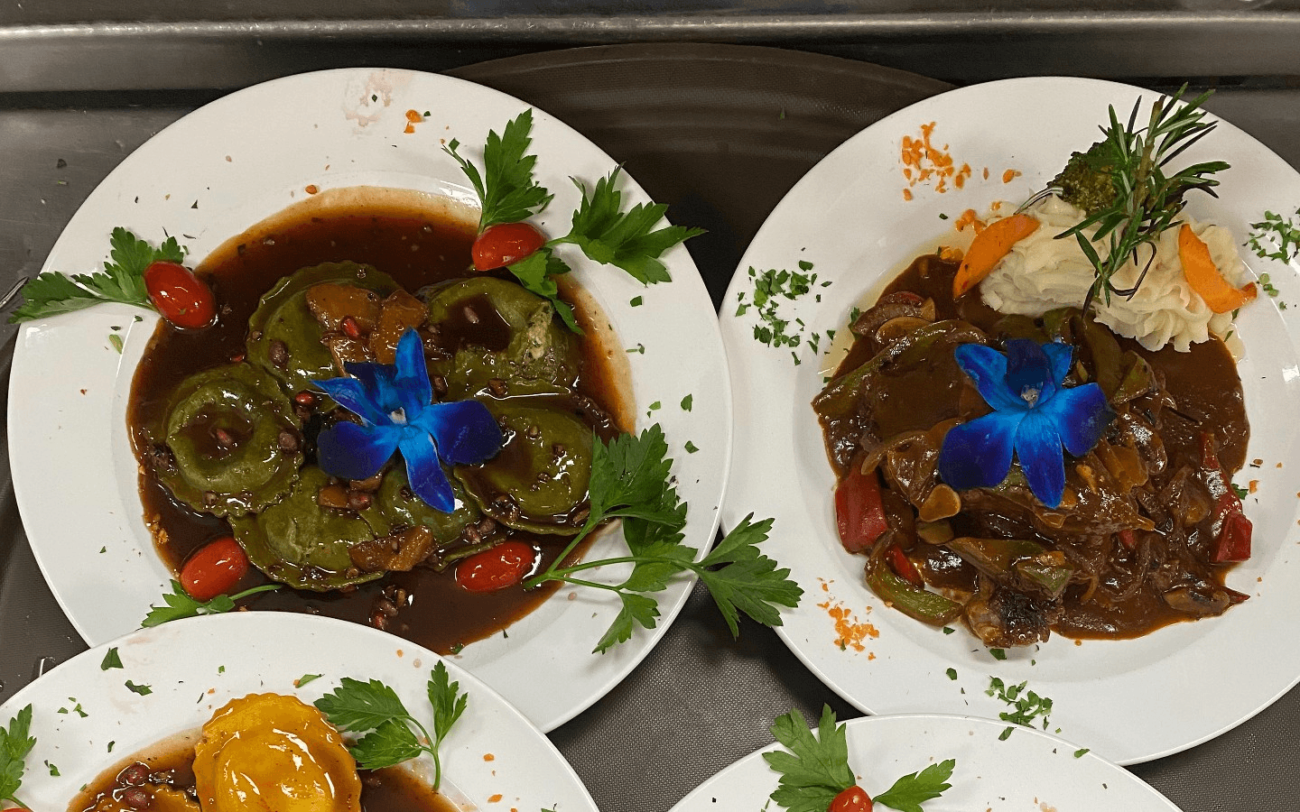 Stefano's Restaurant Rewards