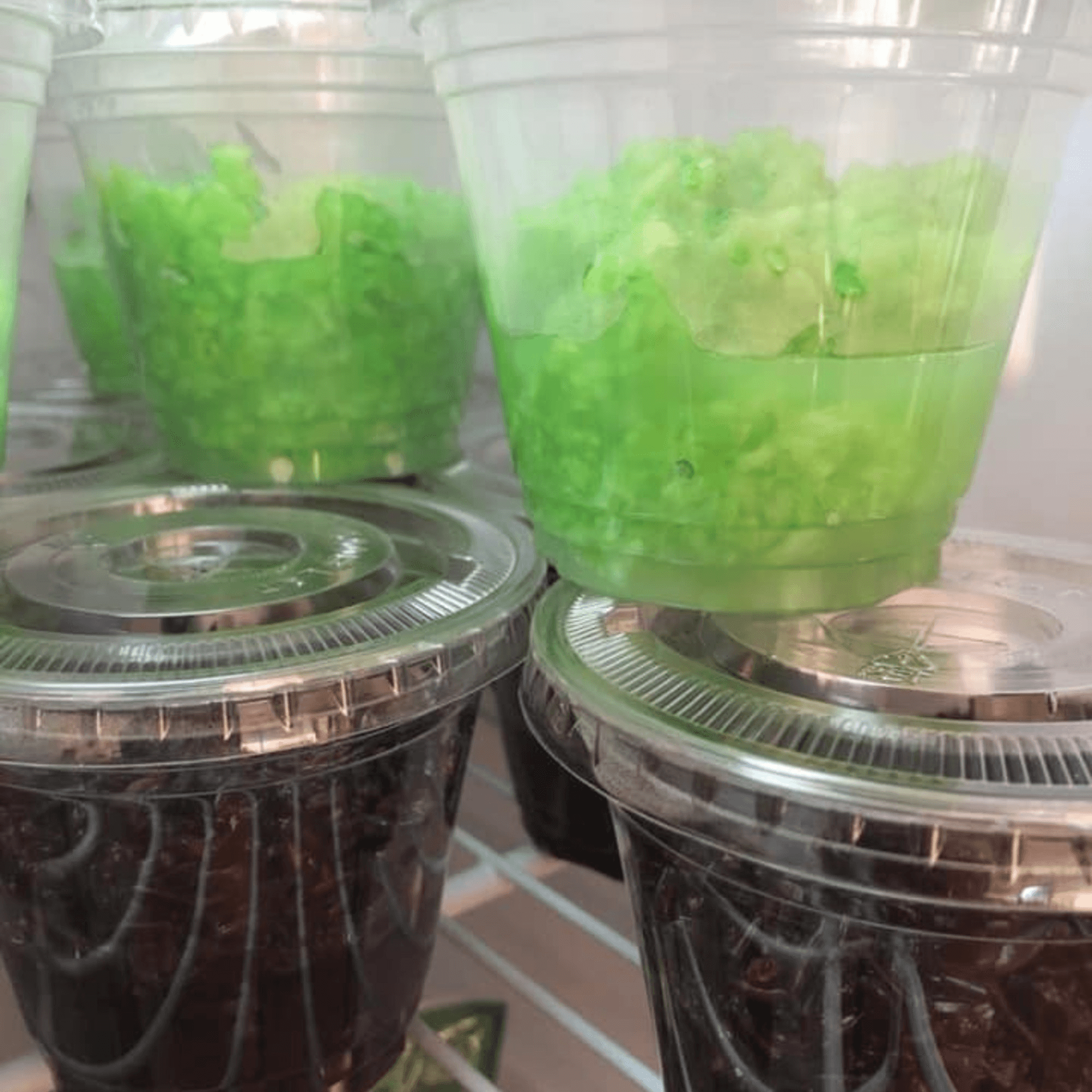 RENDANG & CO - Indonesian Bistro gallery image #10