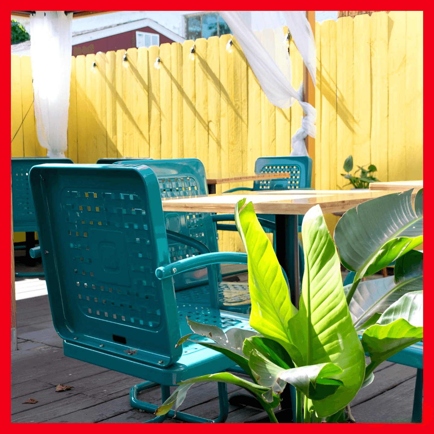 Book Your Crazy Good Experience