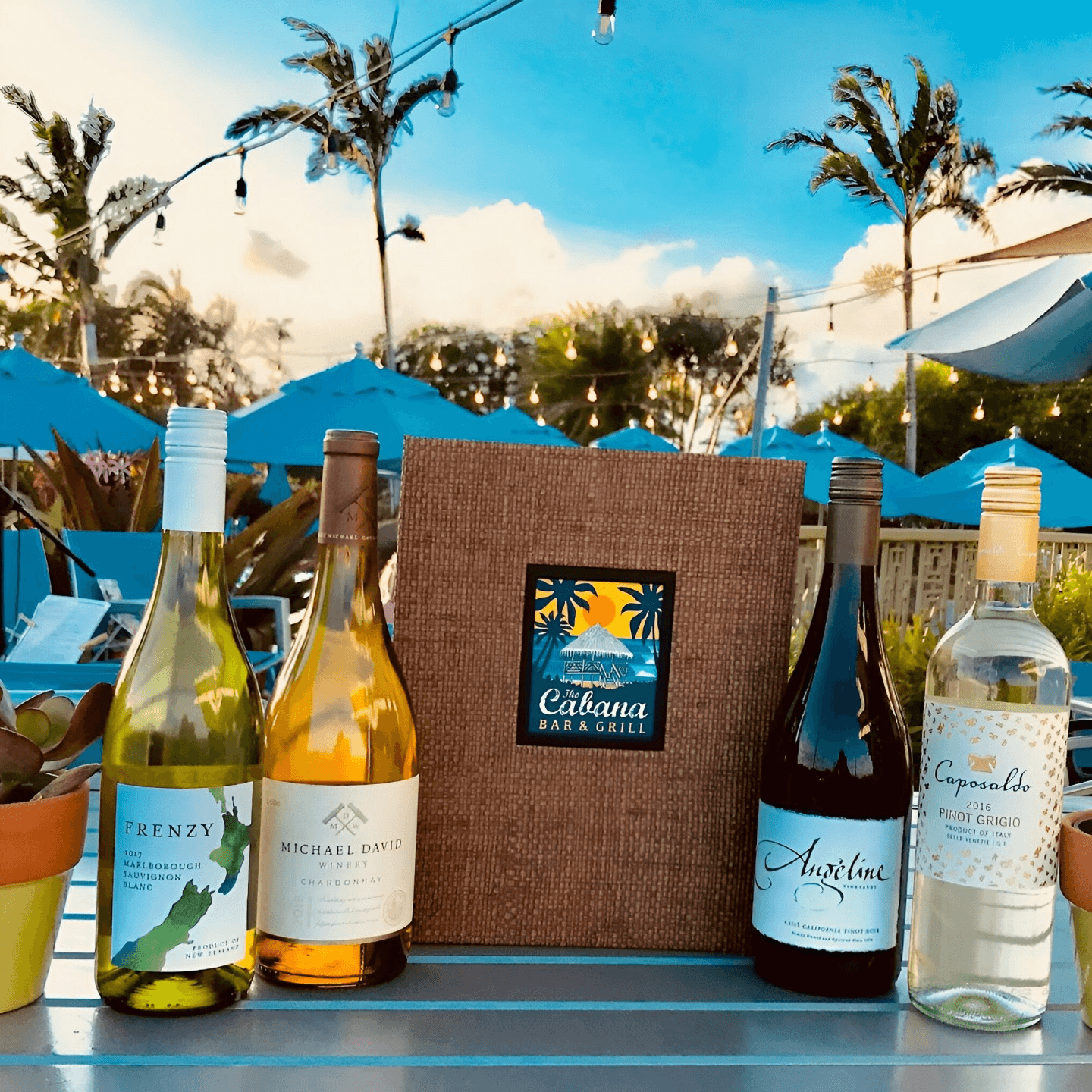 Built on Aloha Since 2017