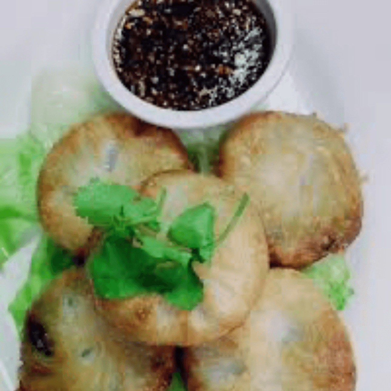 Vegetables Dumplings.