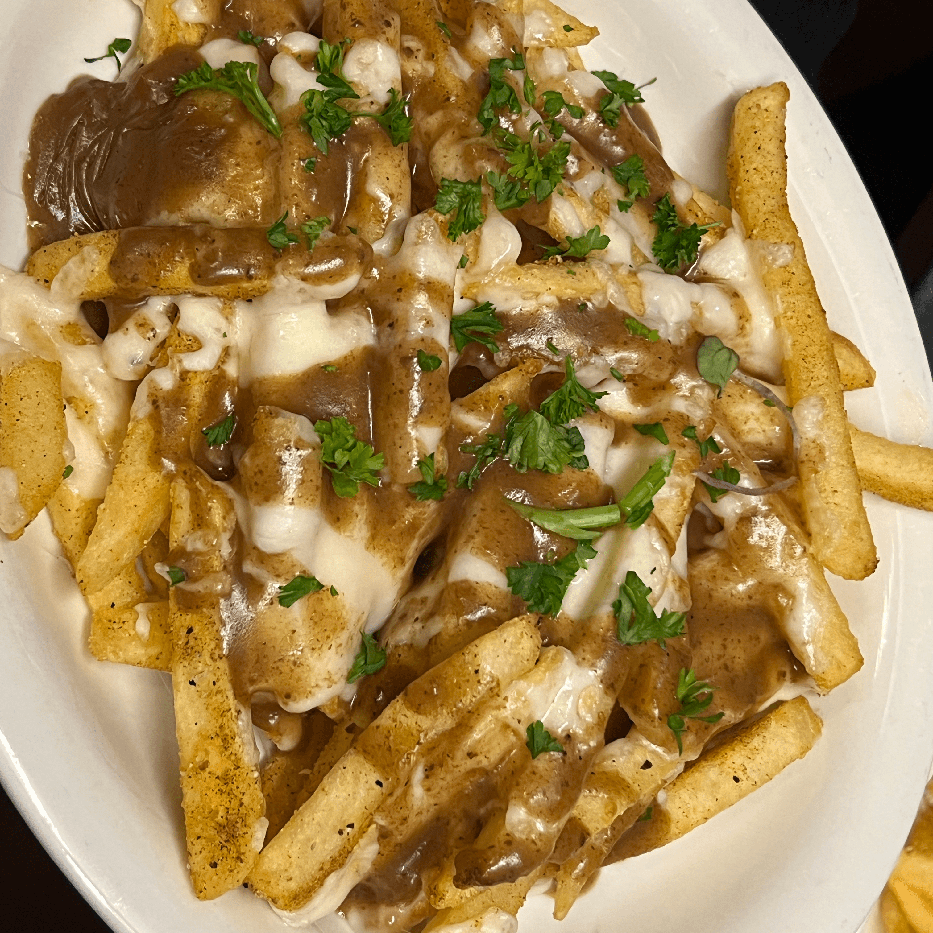 Southern Poutine Fries.