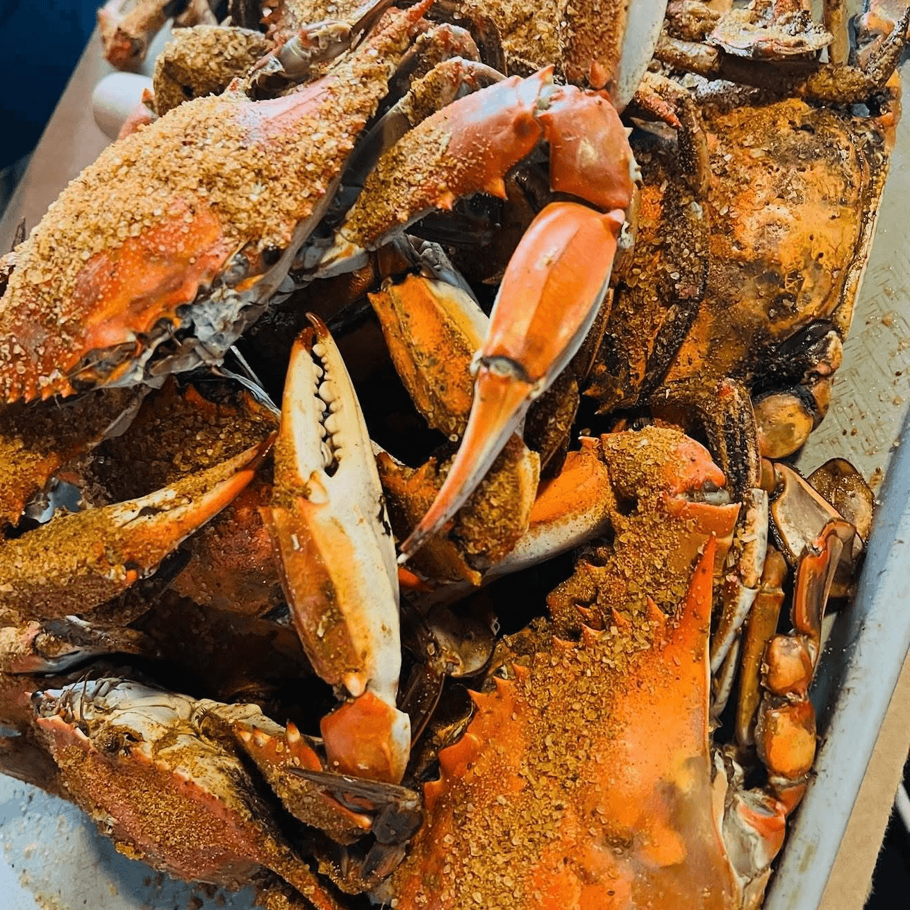 Blue Crab Shack And Seafood gallery image #5