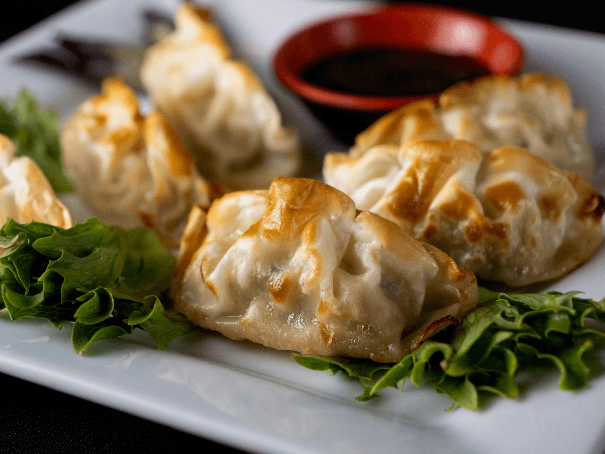 App- Gyoza.