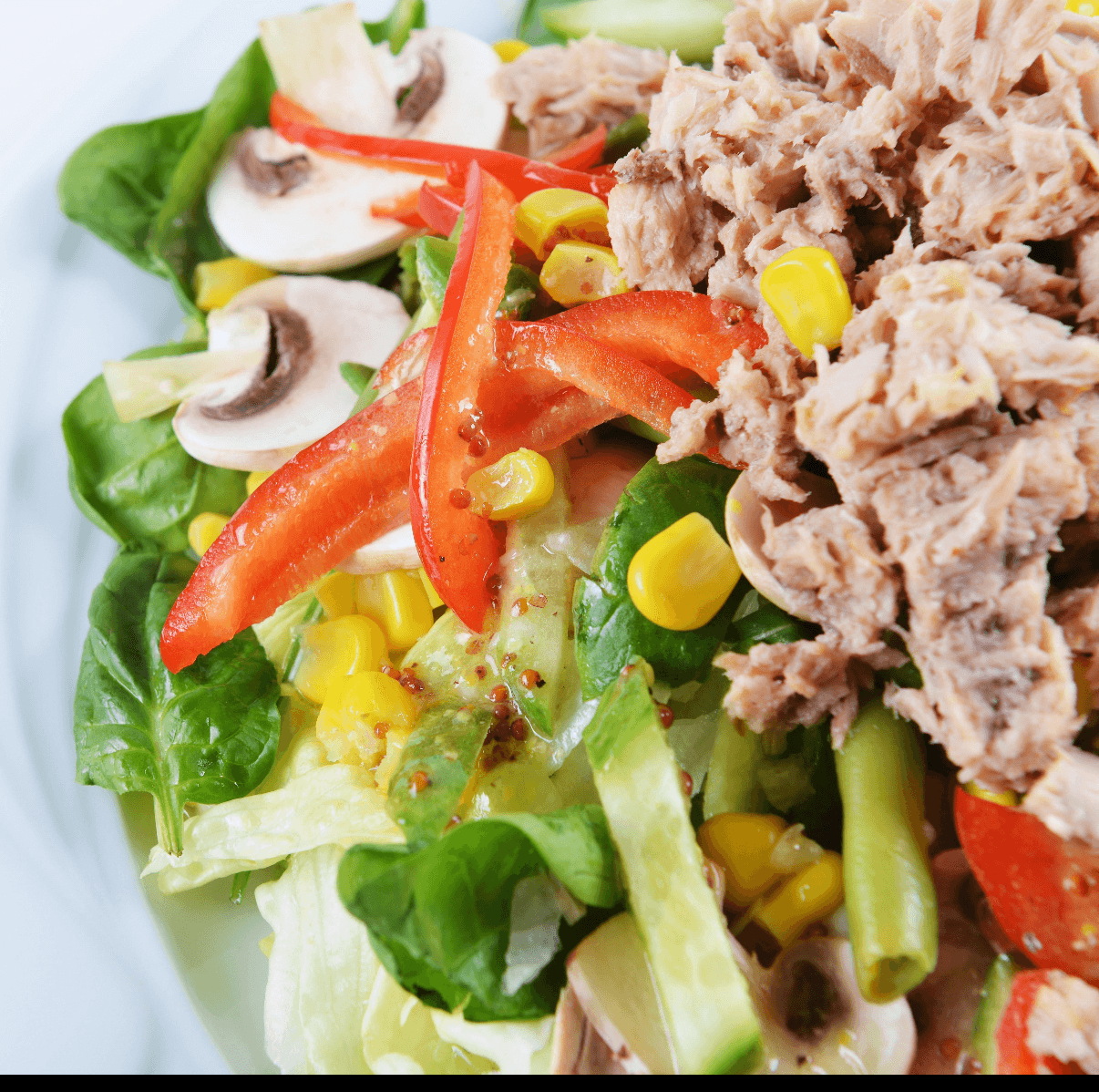 Low Fat Tuna (Bagel).