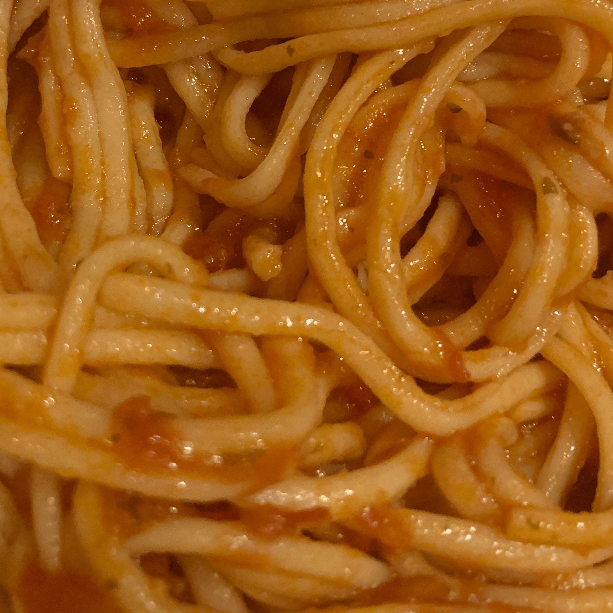 House Made Spaghetti.